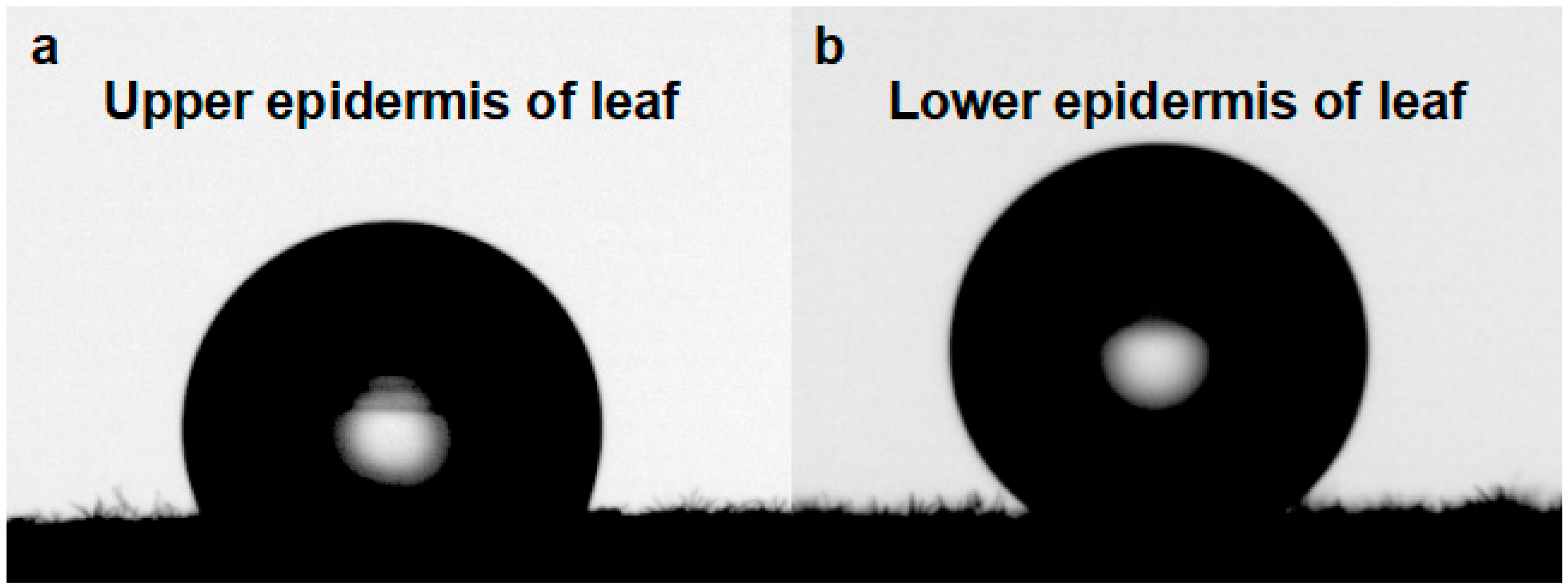 Biology 12 01024 g003