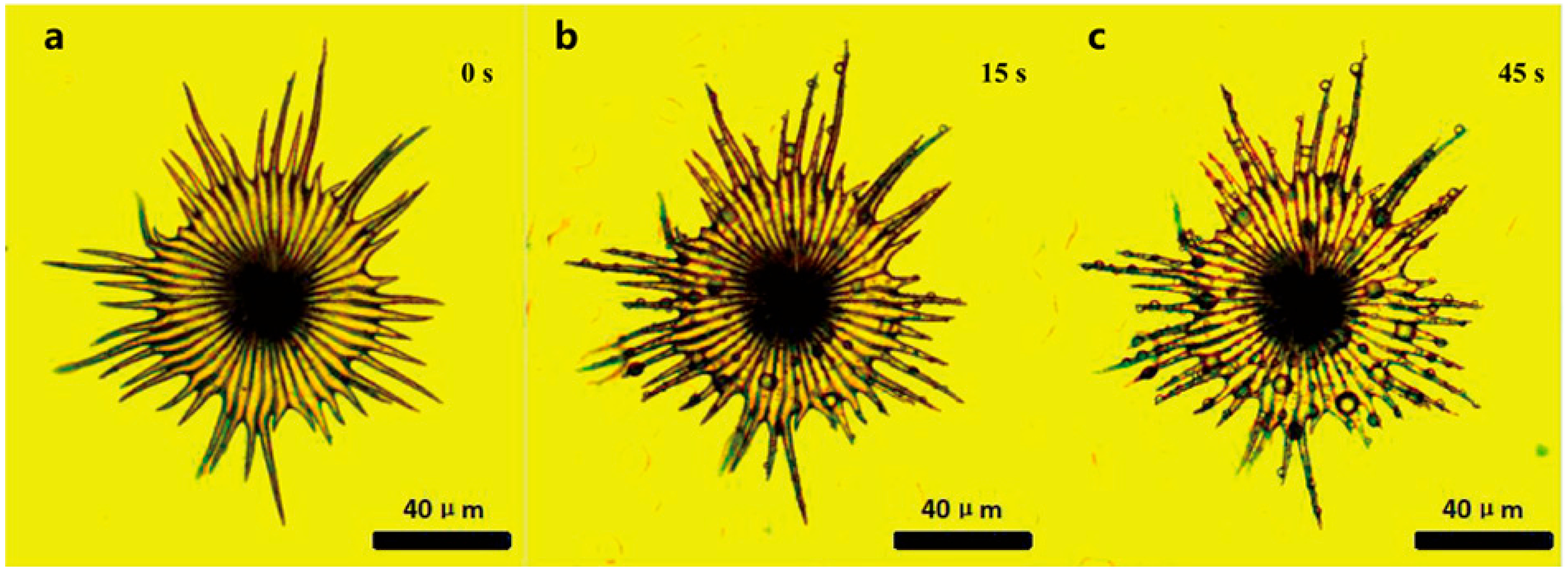 Biology 12 01024 g004