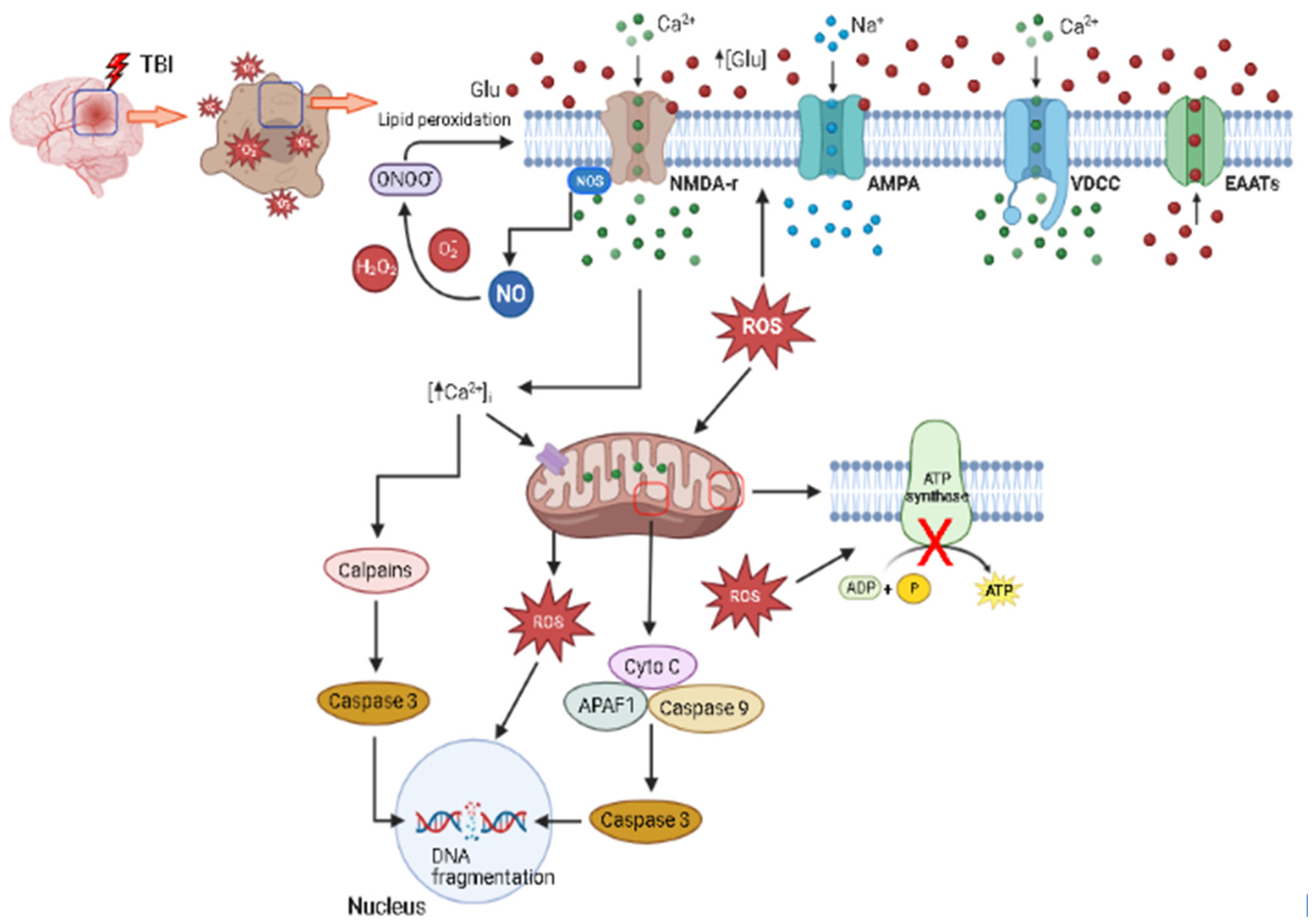 Biology 12 01139 g002