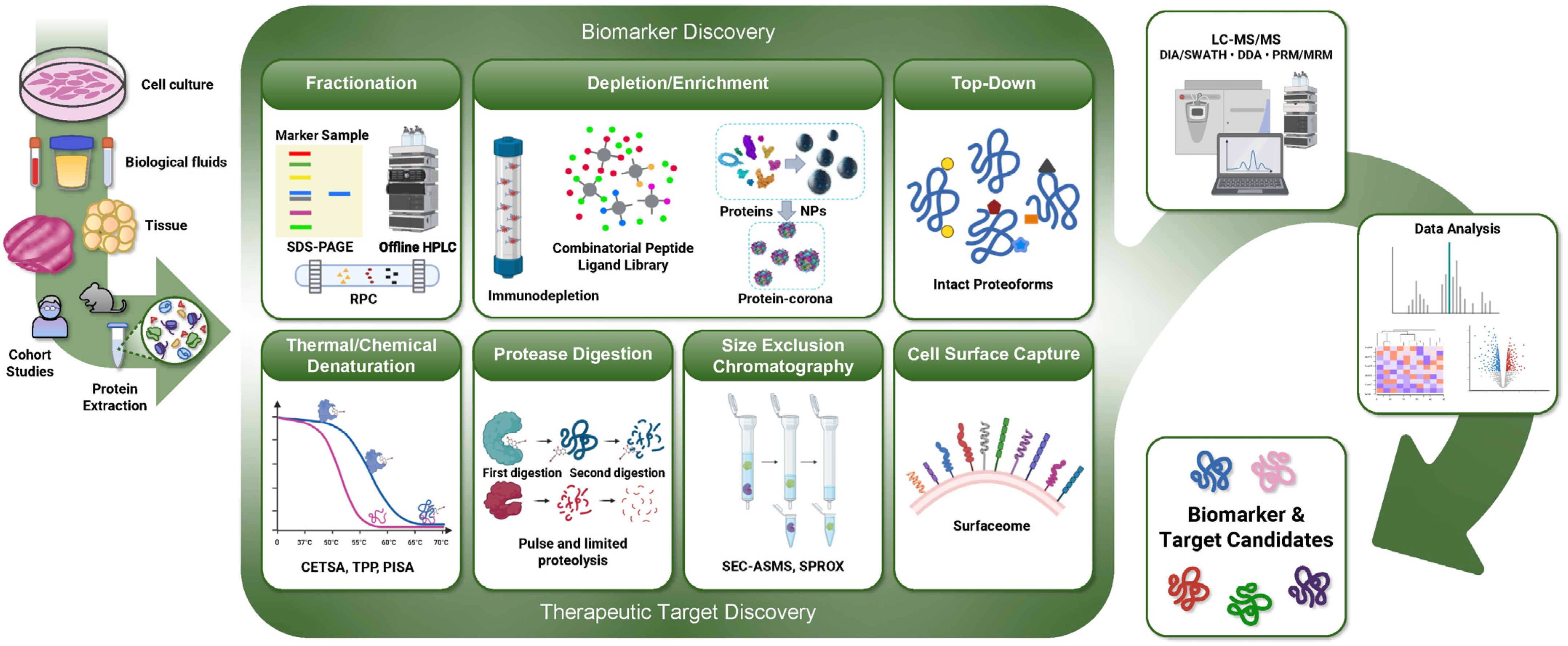 Biology 12 01301 g002