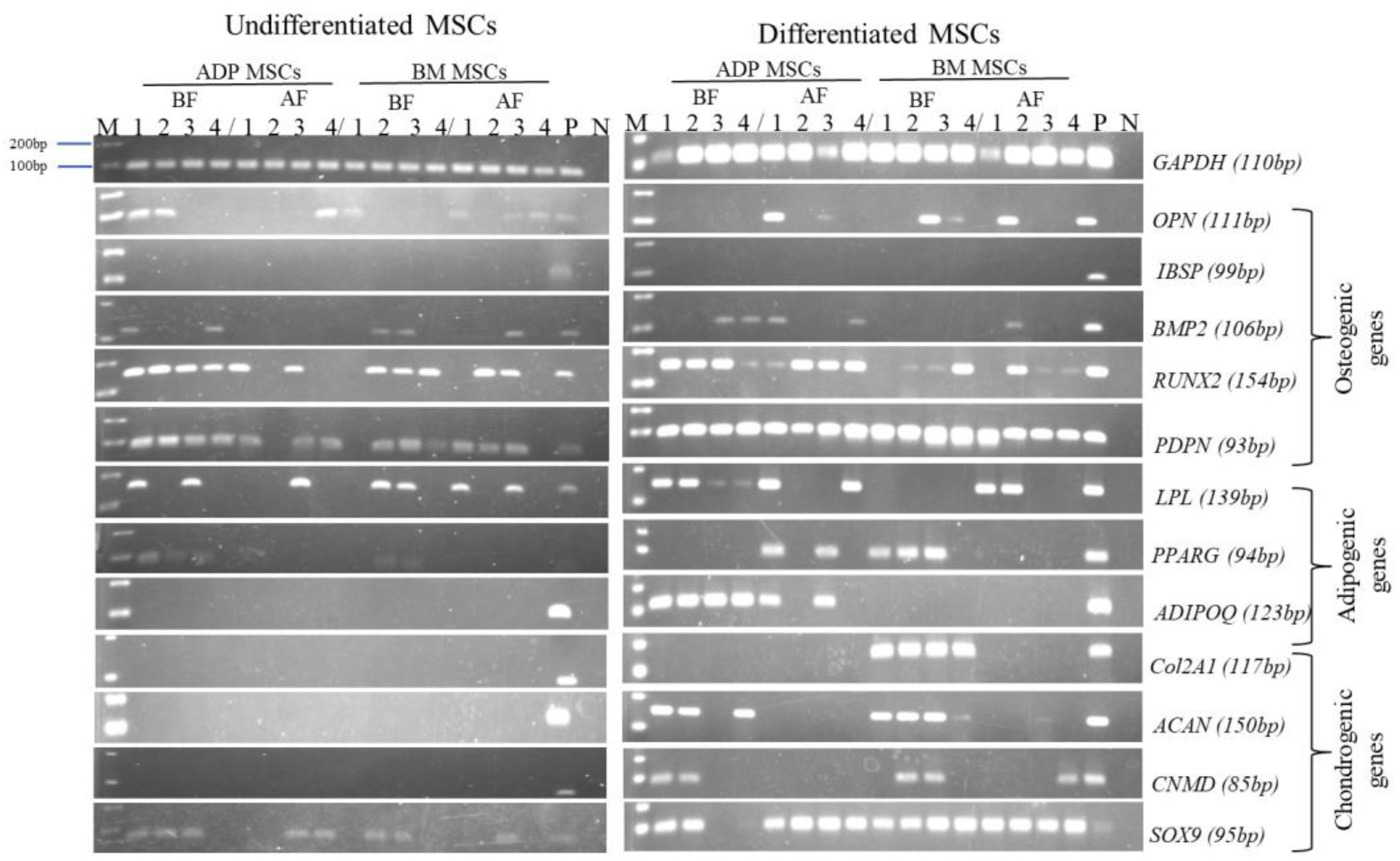 Biology 12 01312 g009