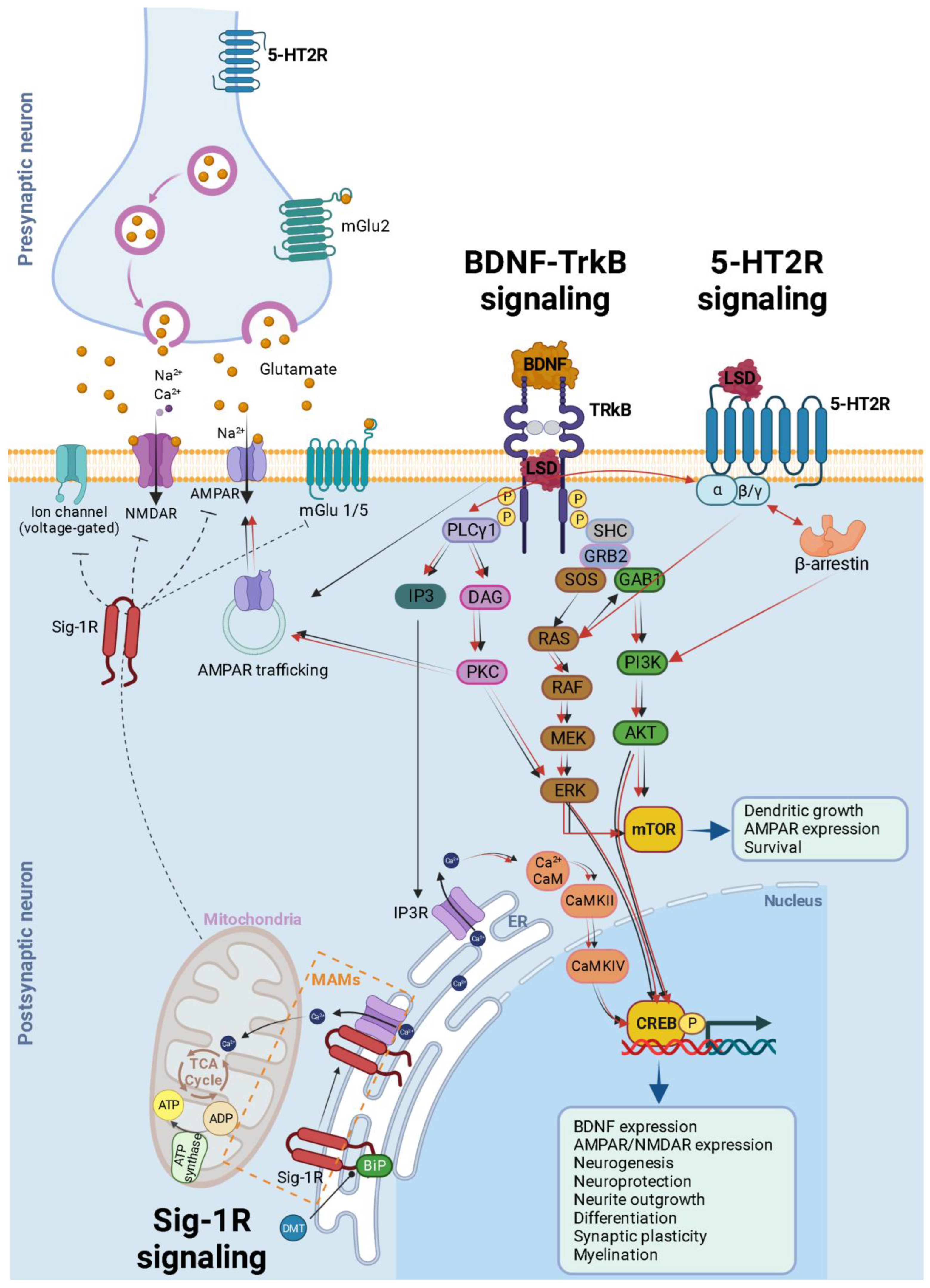 Biology 12 01380 g003