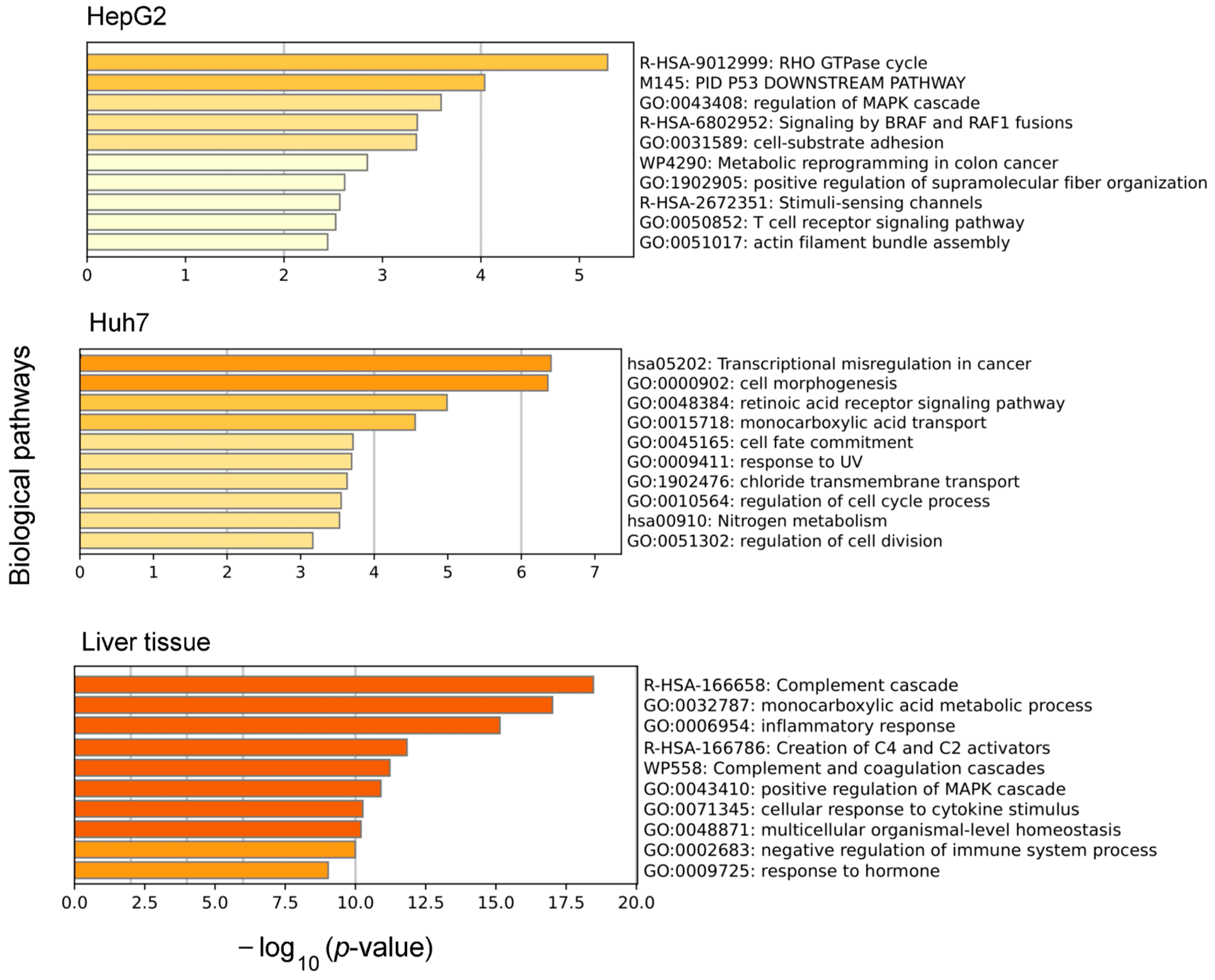 Biology 12 01494 g004