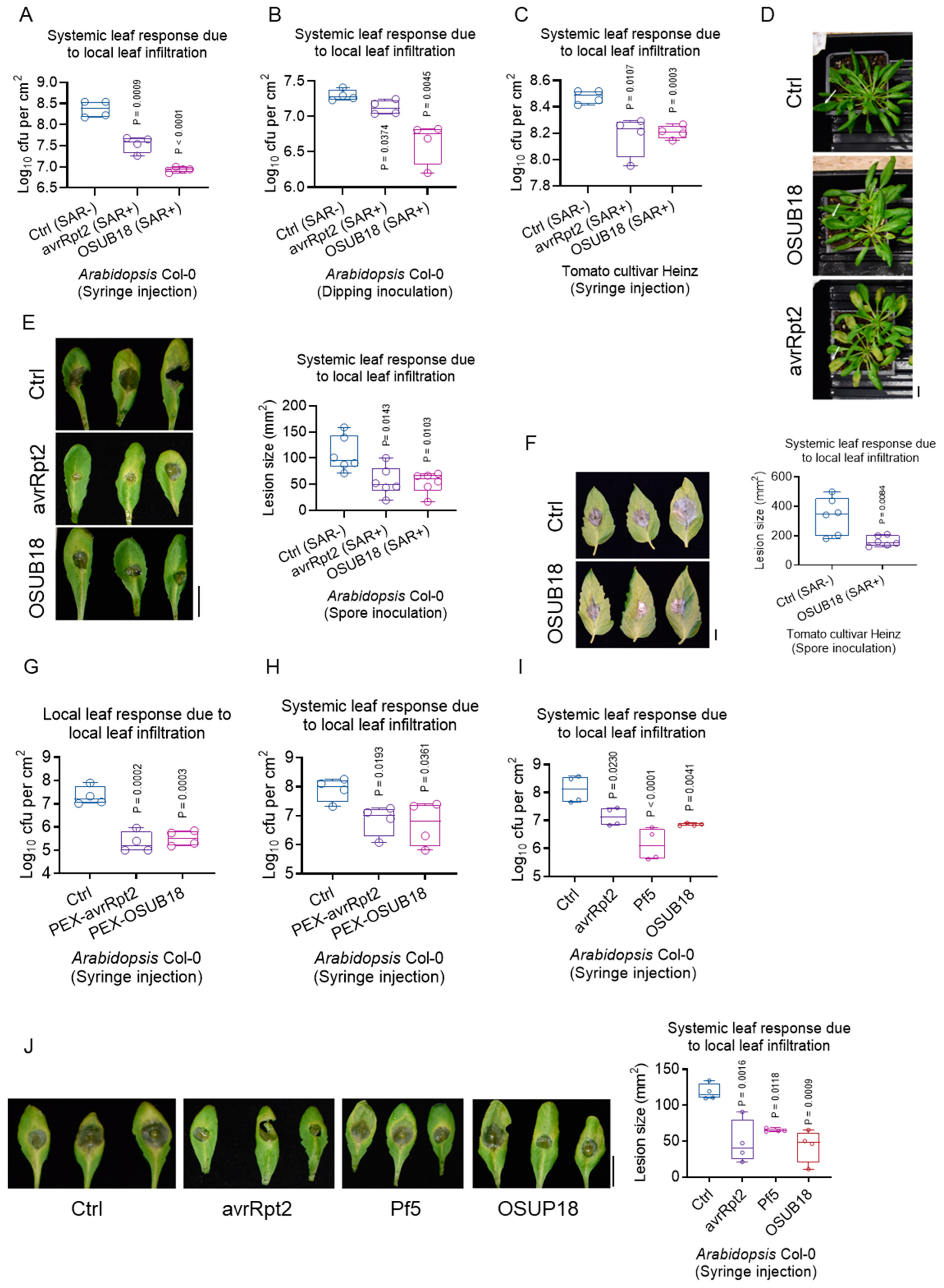 Biology 12 01495 g005