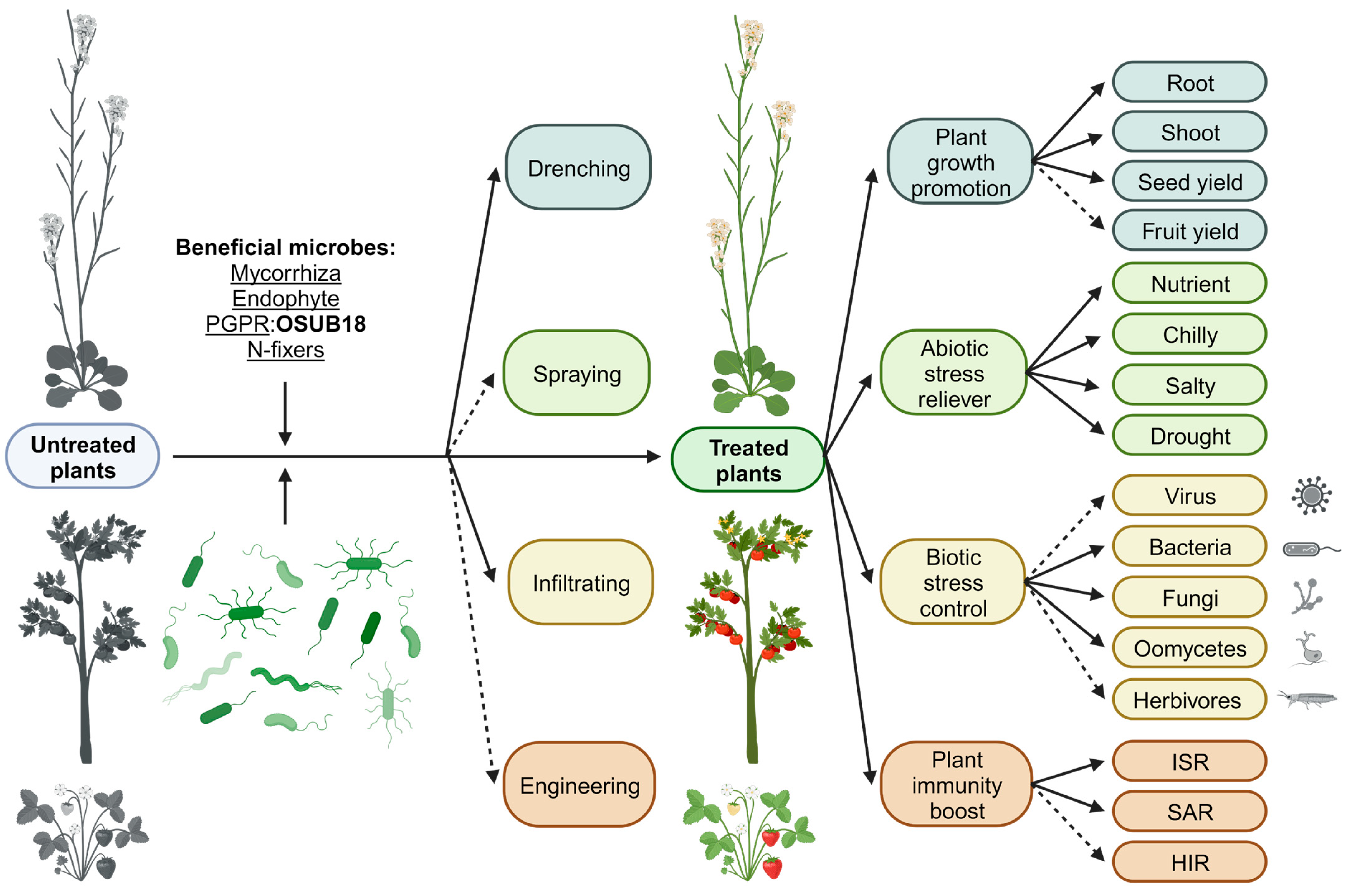 Biology 12 01495 g007