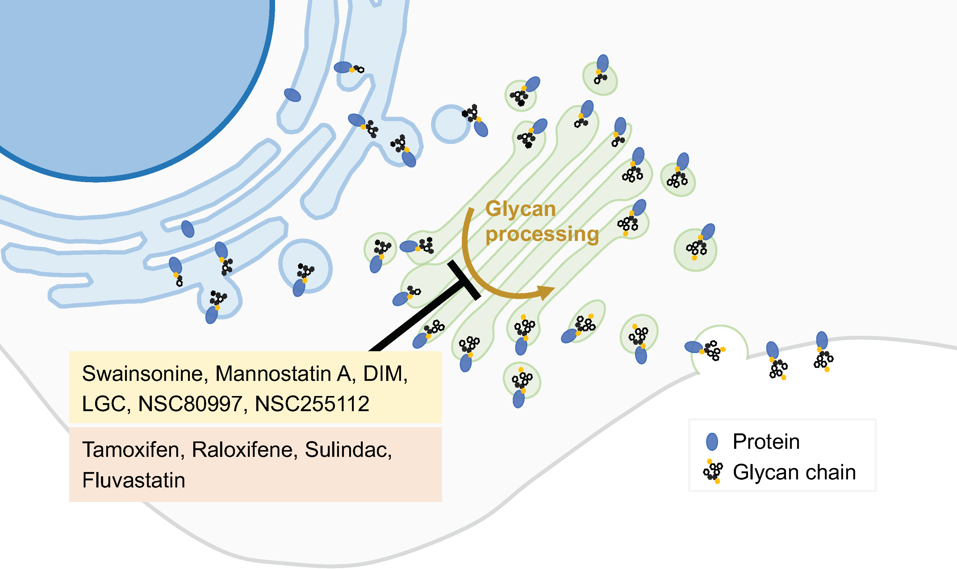 Biology 13 00001 g003