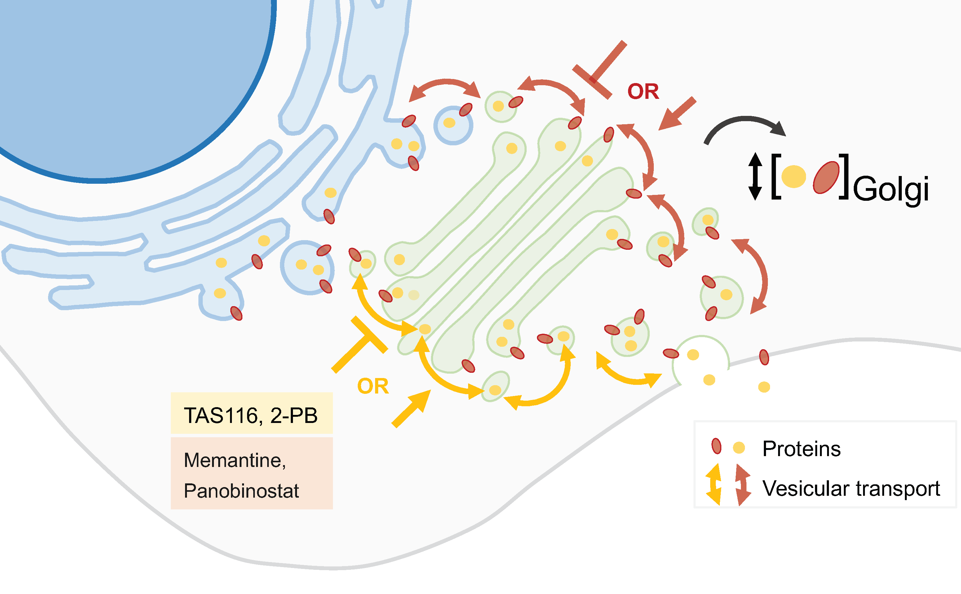 Biology 13 00001 g004