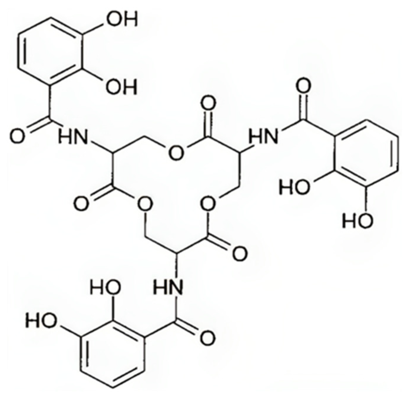 Biology 13 00078 g004