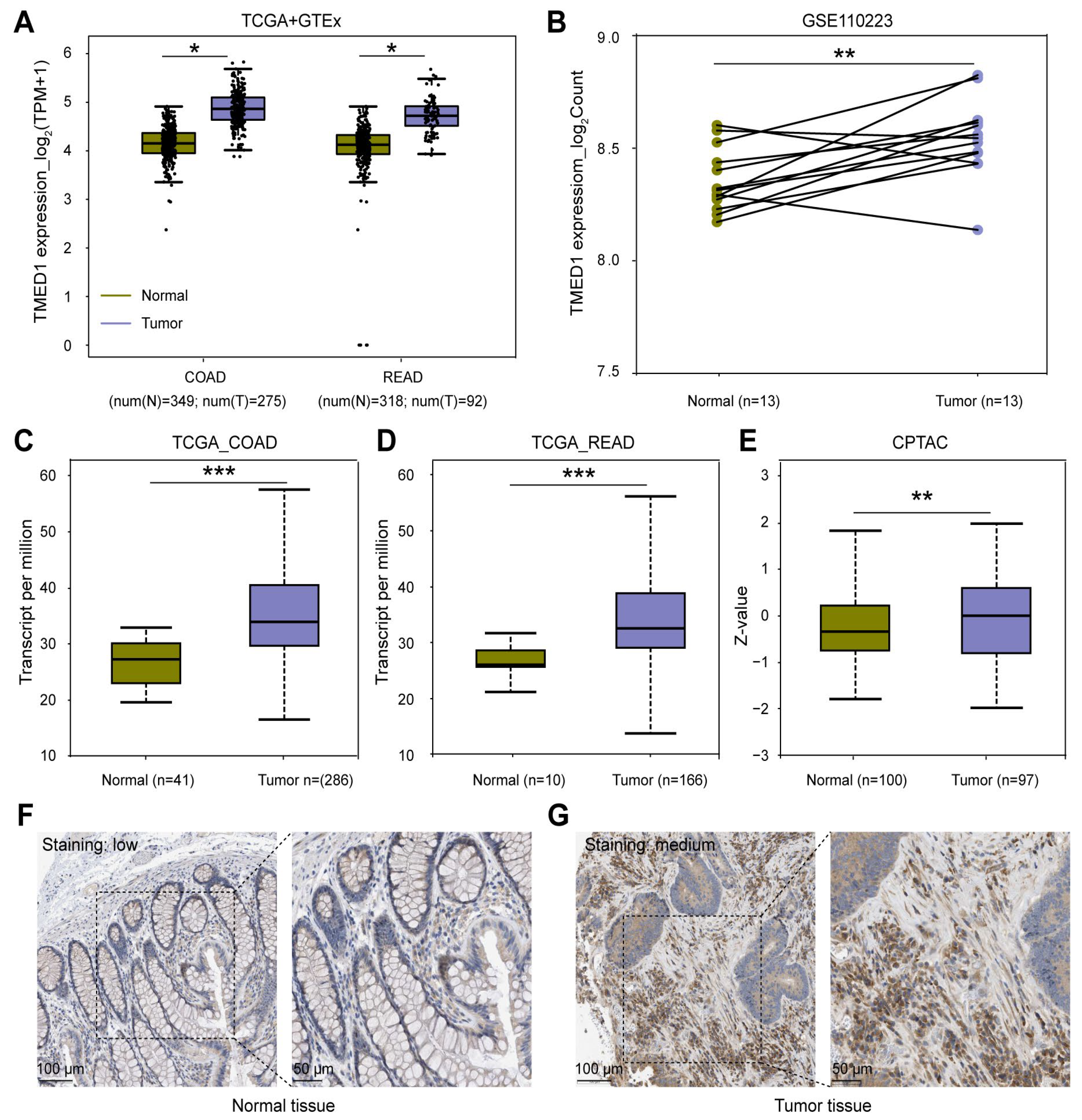 Biology 13 00083 g001