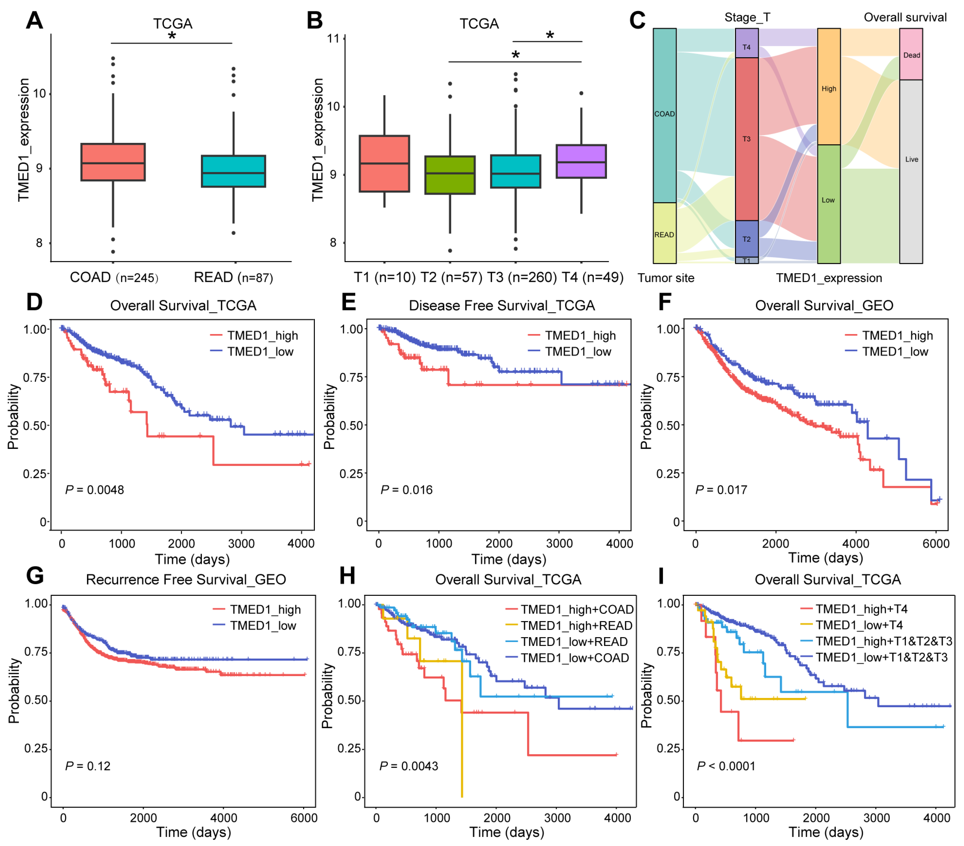 Biology 13 00083 g002