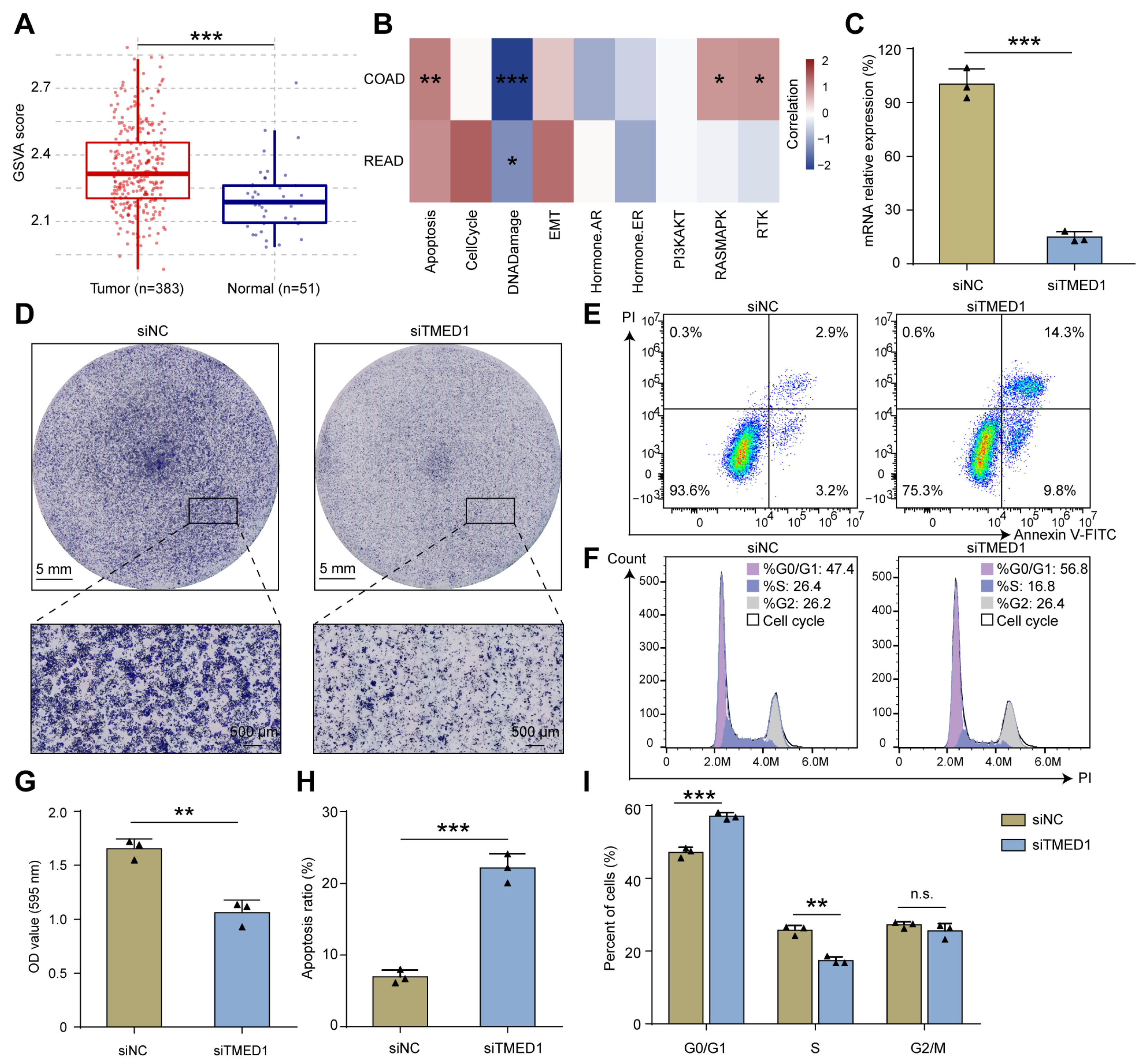 Biology 13 00083 g003