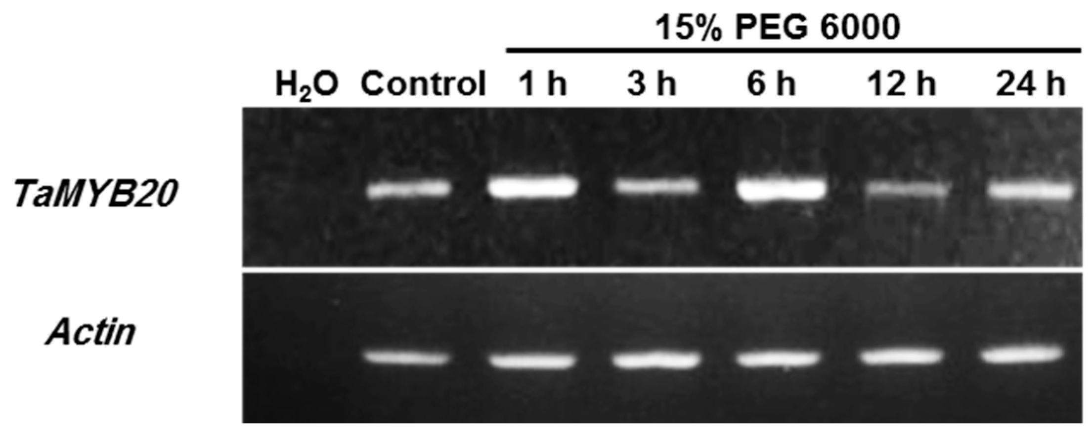 Biology 13 00128 g001