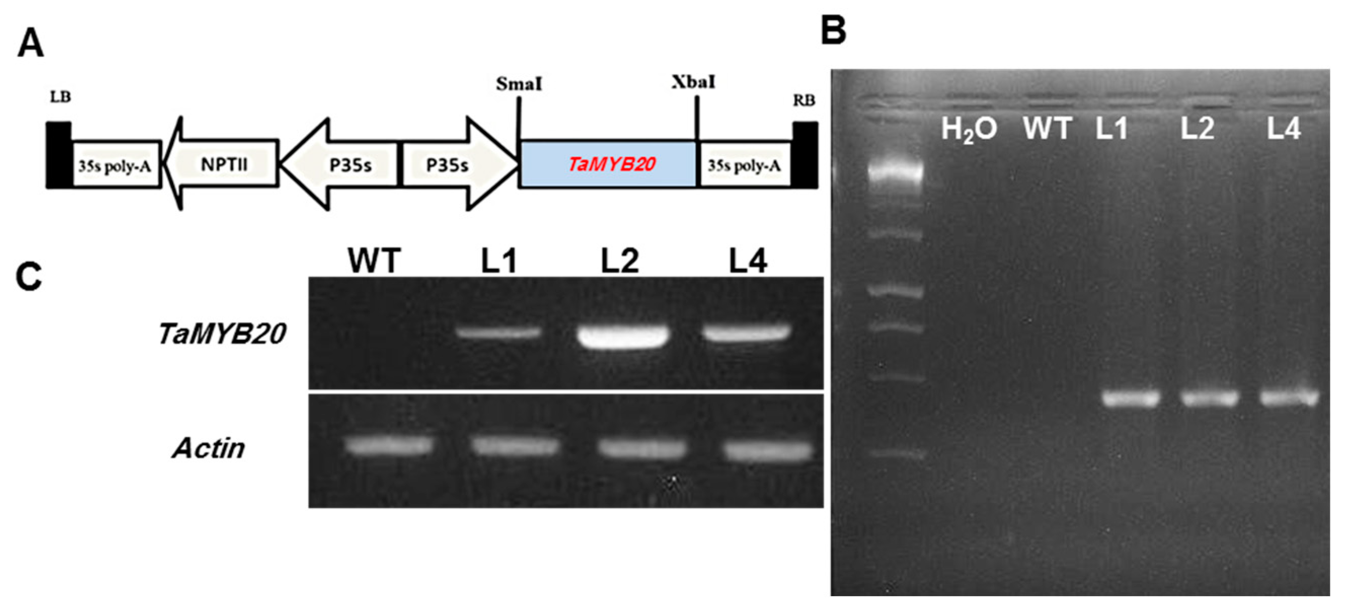 Biology 13 00128 g002
