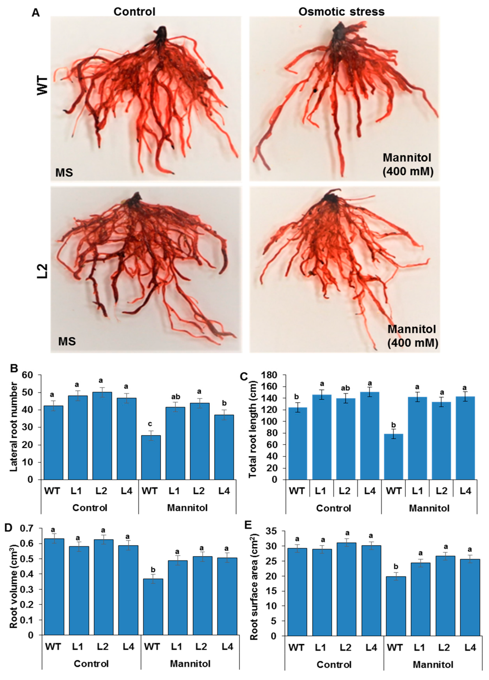 Biology 13 00128 g004