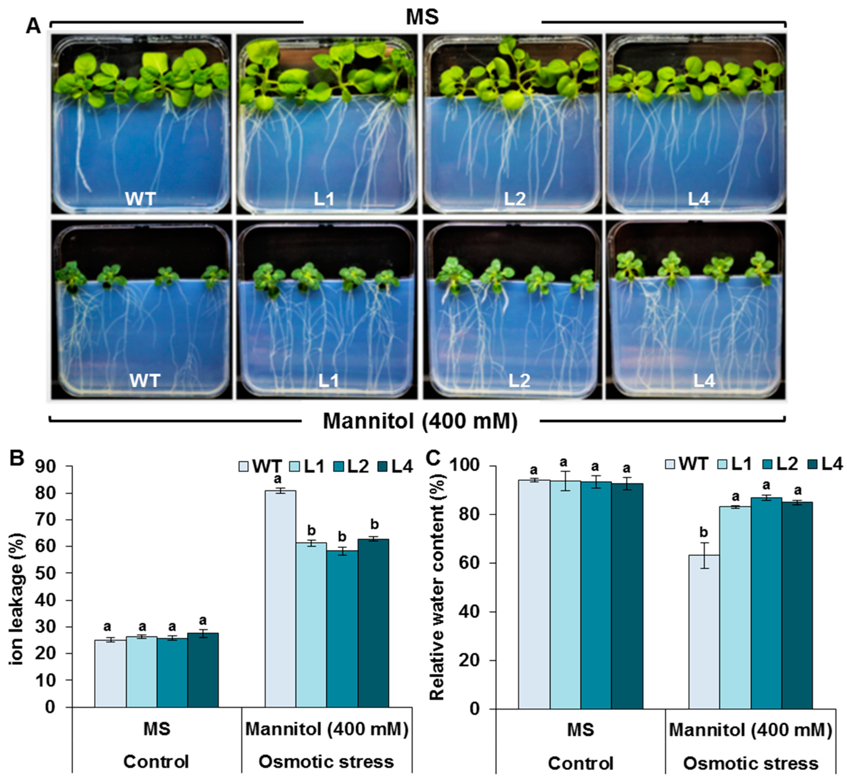 Biology 13 00128 g007