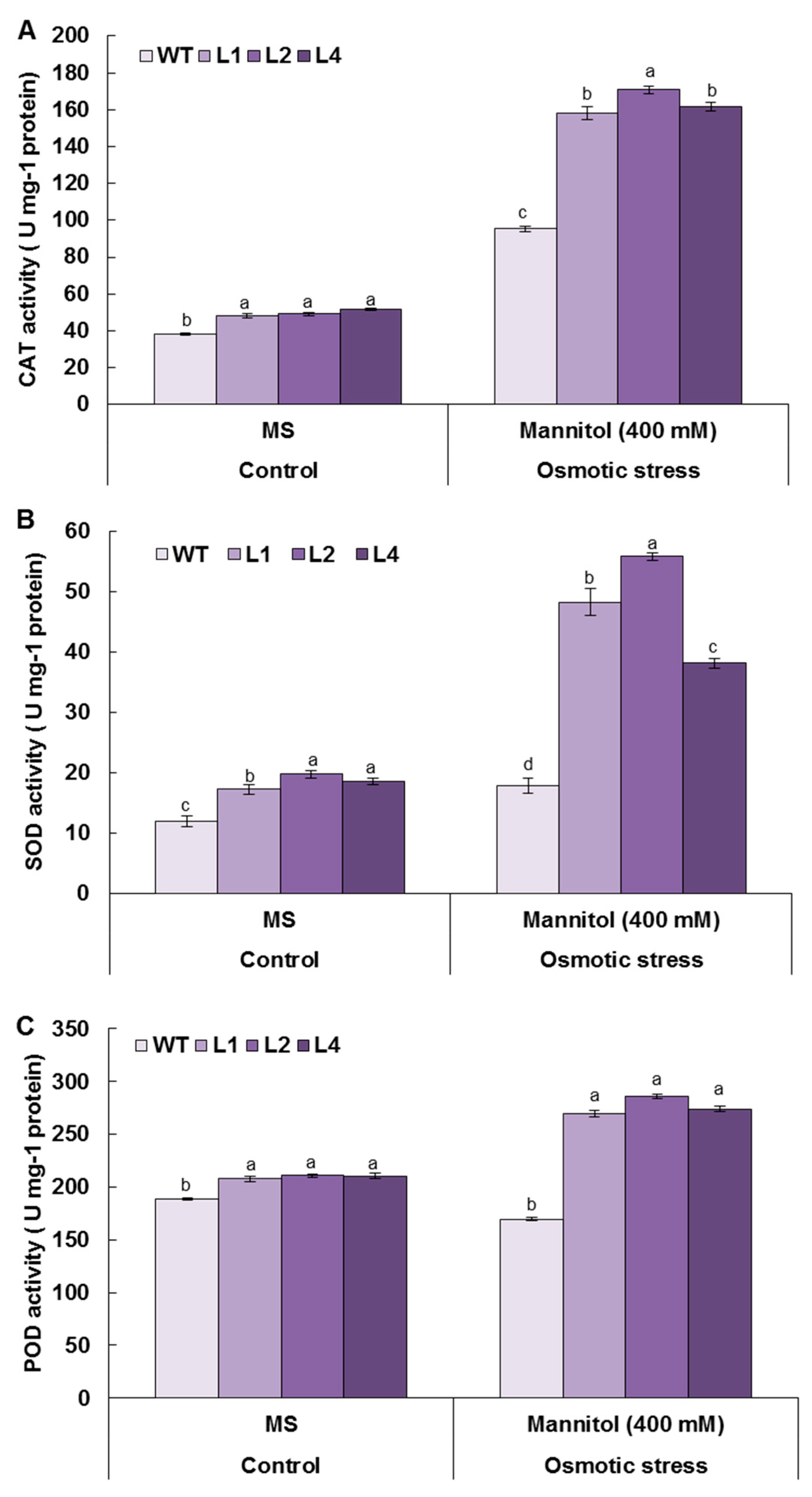 Biology 13 00128 g008