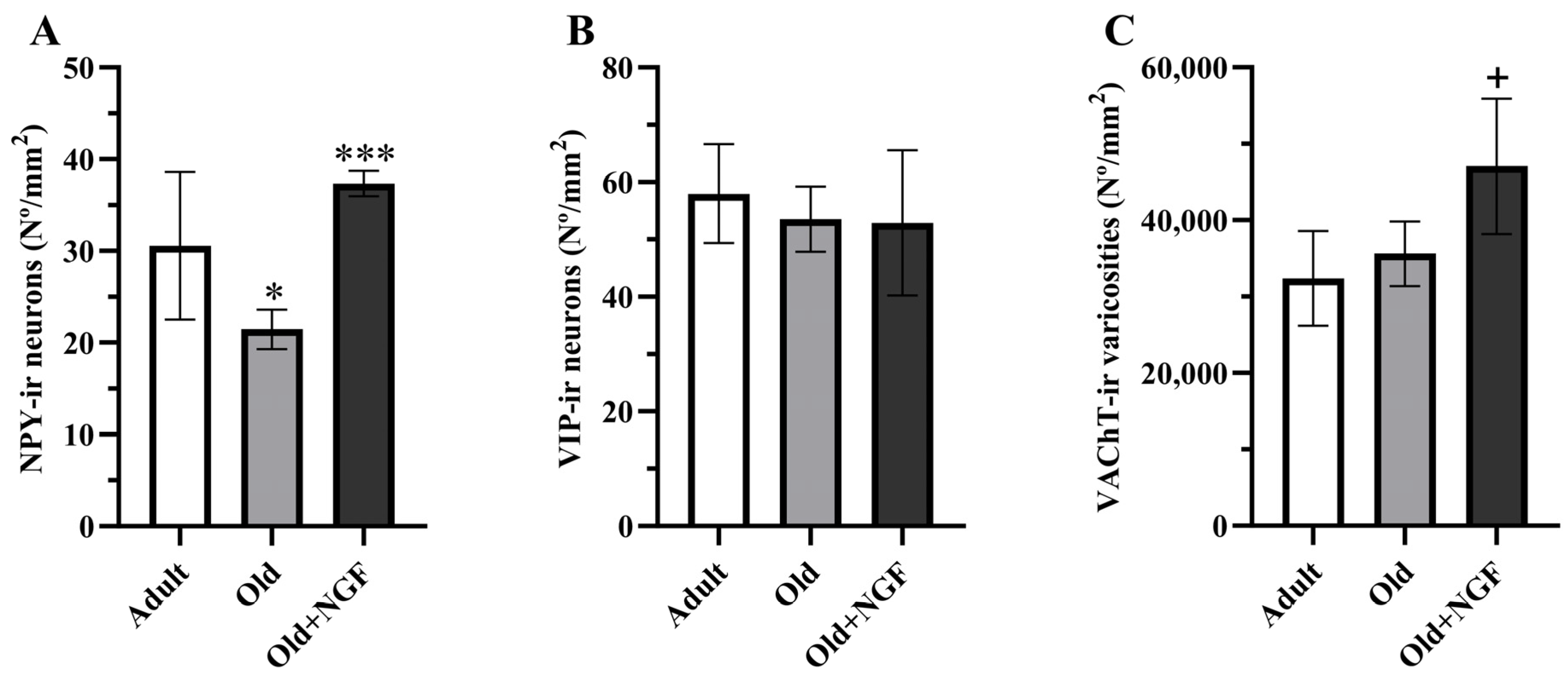 Biology 13 00155 g003