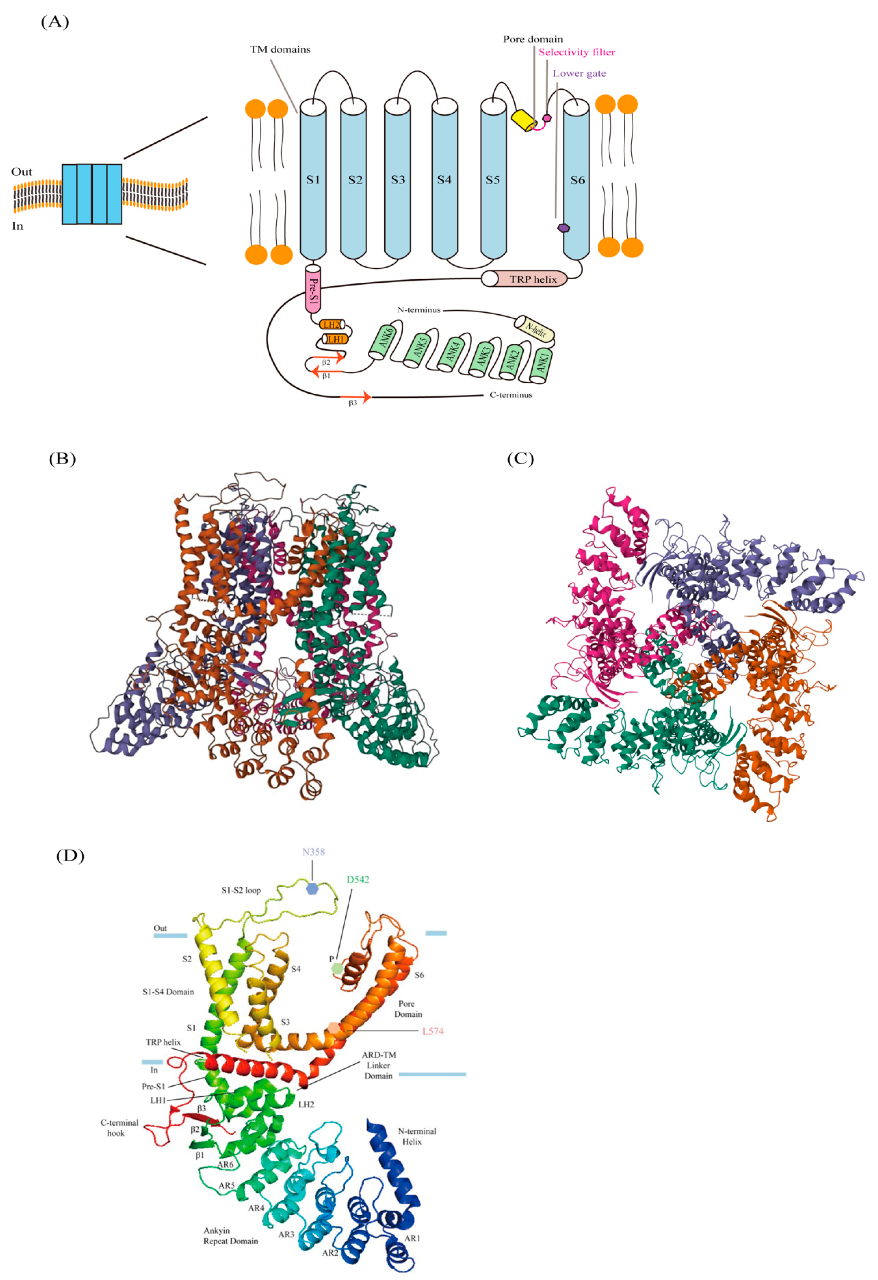Biology 13 00168 g001