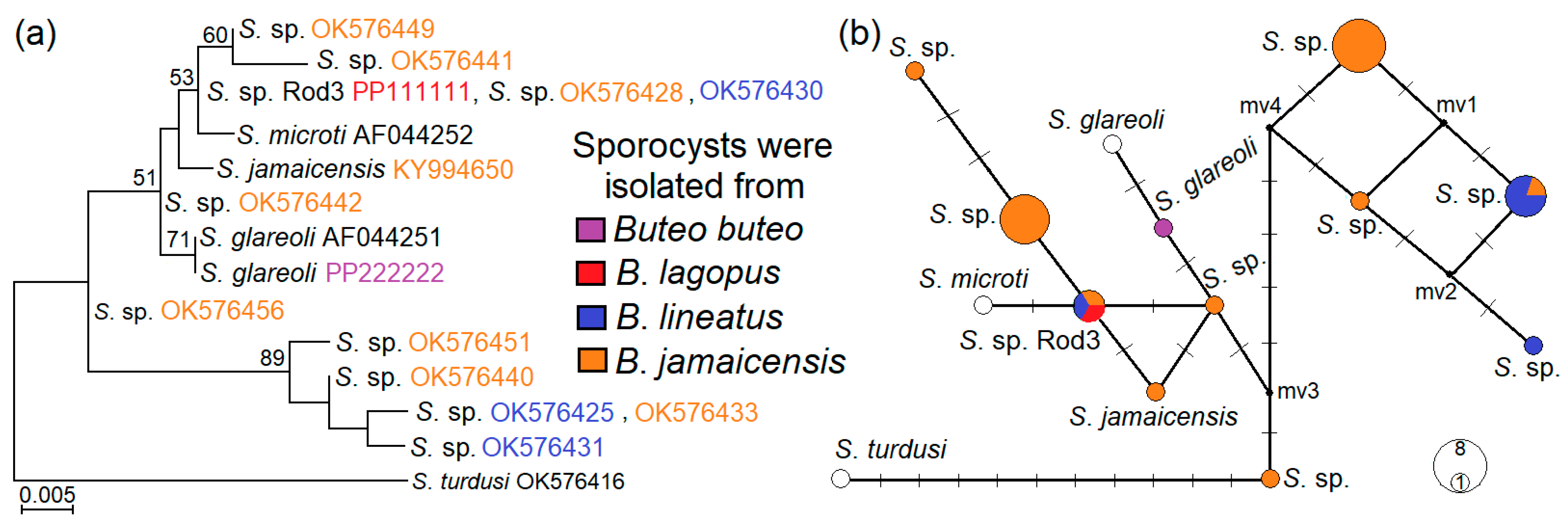 Biology 13 00264 g005