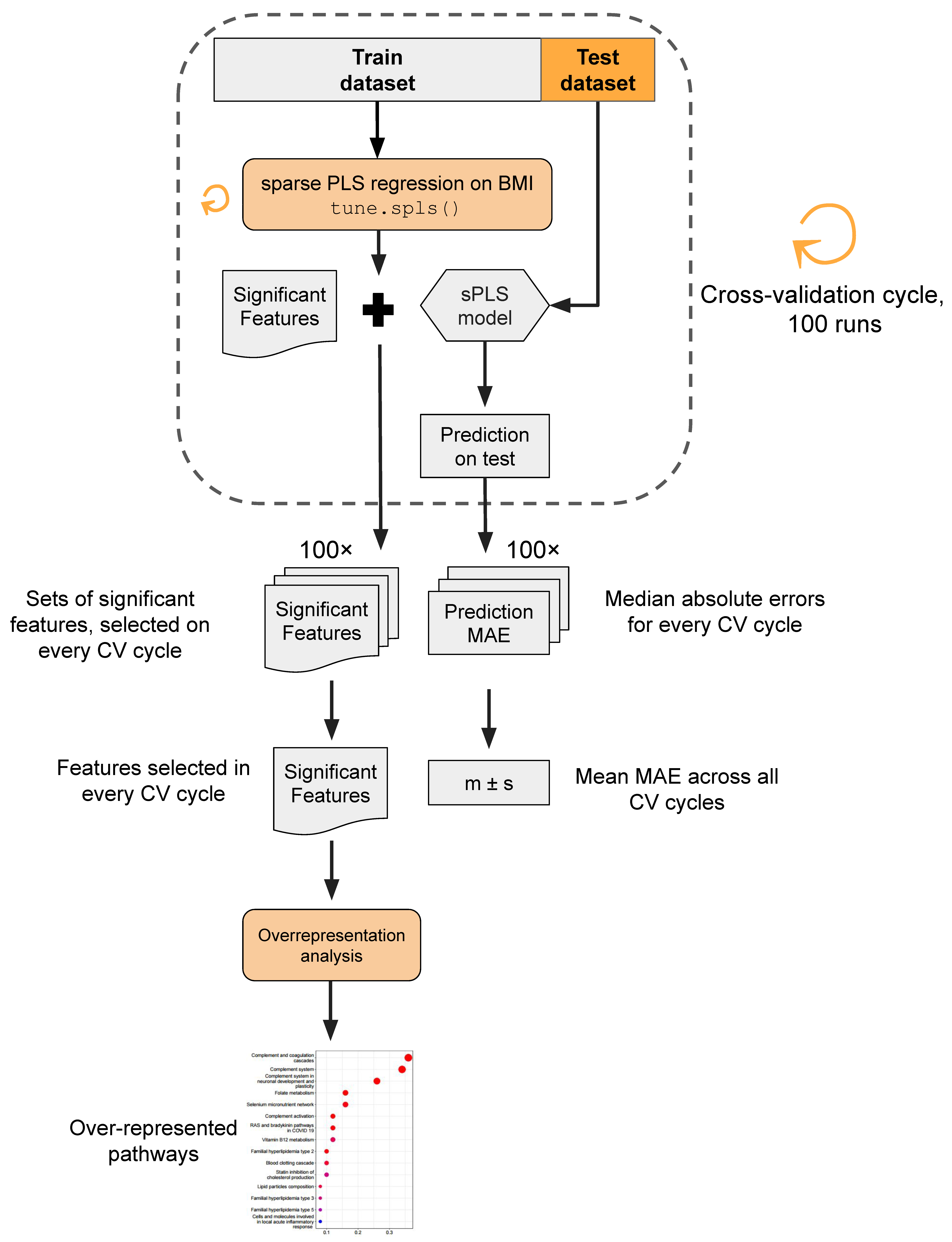 Biology 13 00272 g002