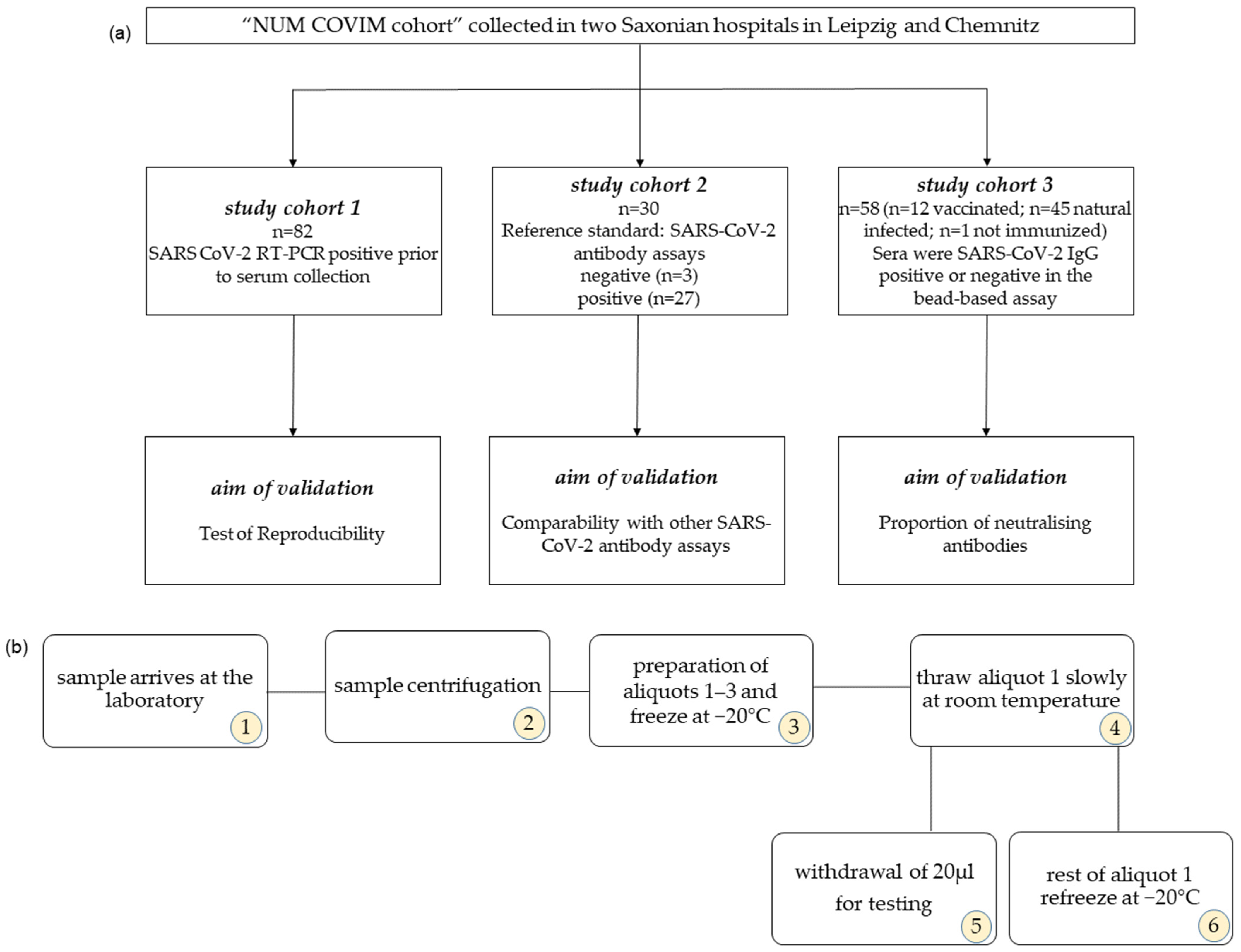 Biology 13 00273 g001