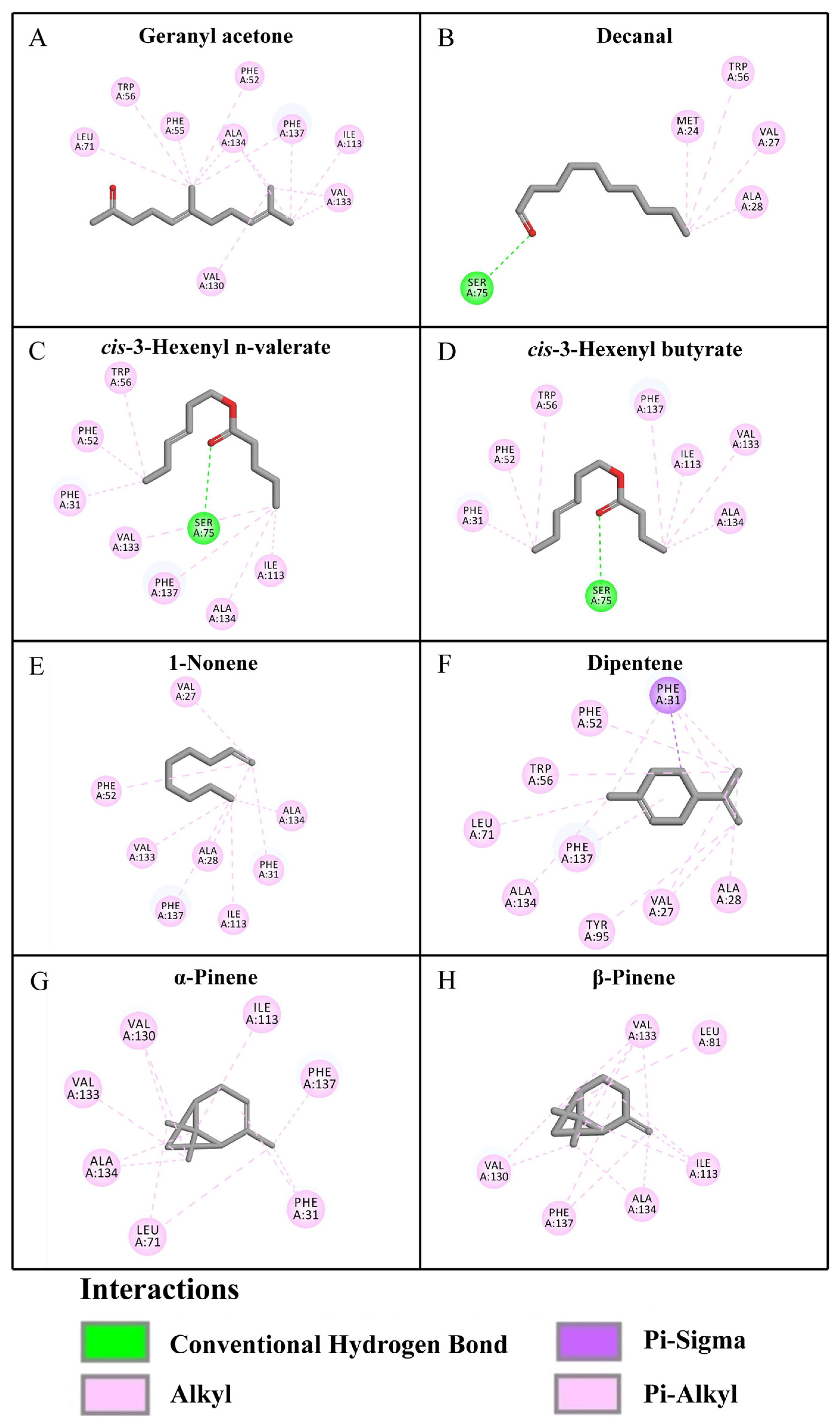 Biology 13 00274 g004