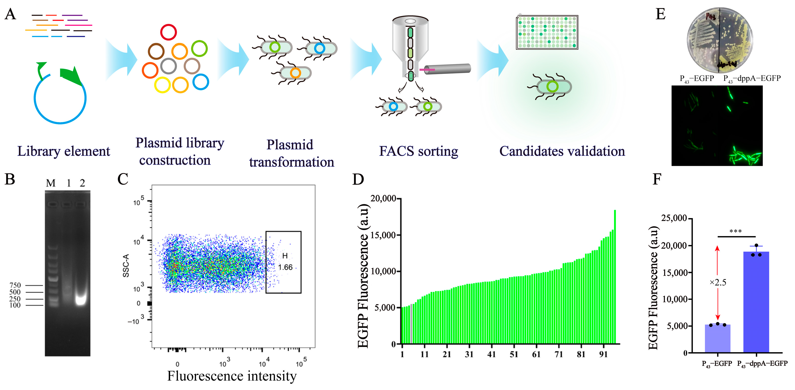 Biology 13 00277 g001