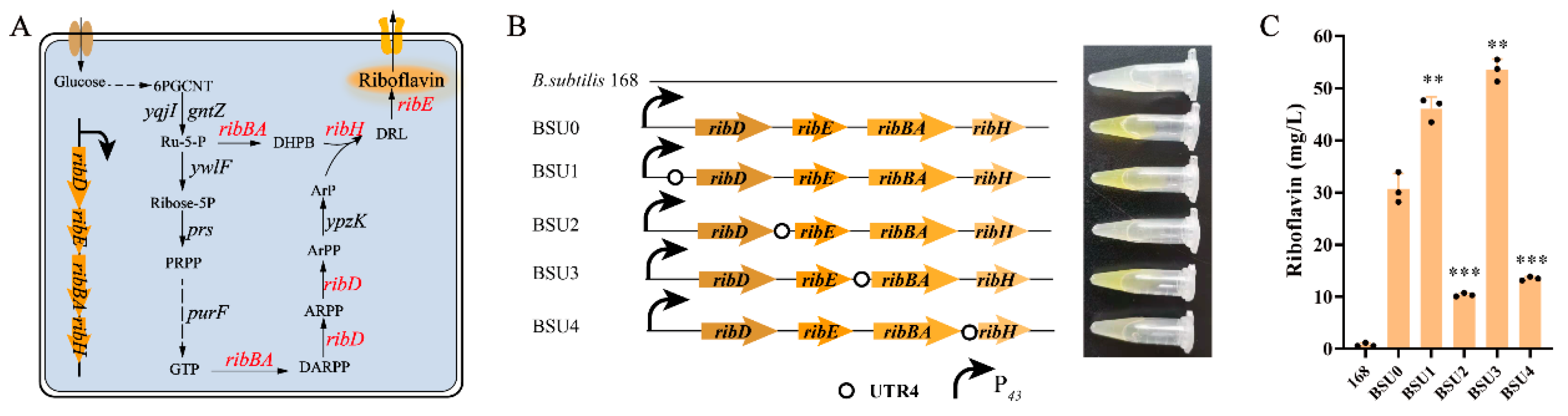 Biology 13 00277 g003