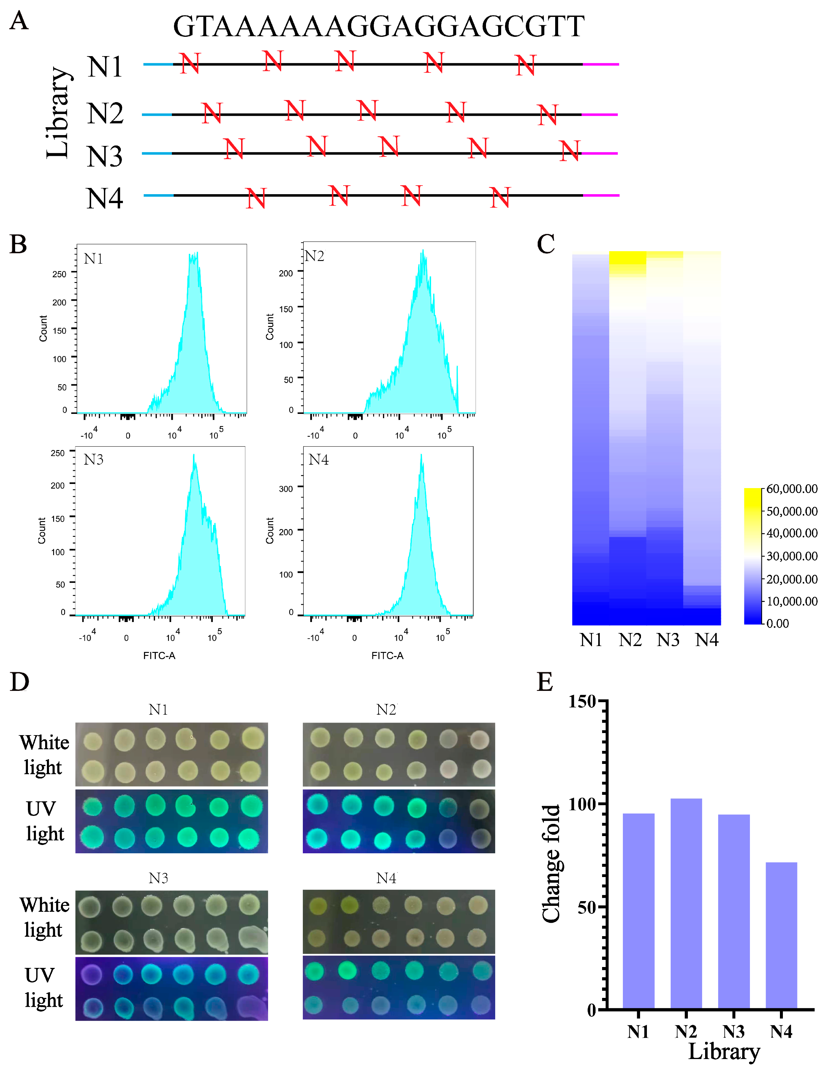 Biology 13 00277 g004