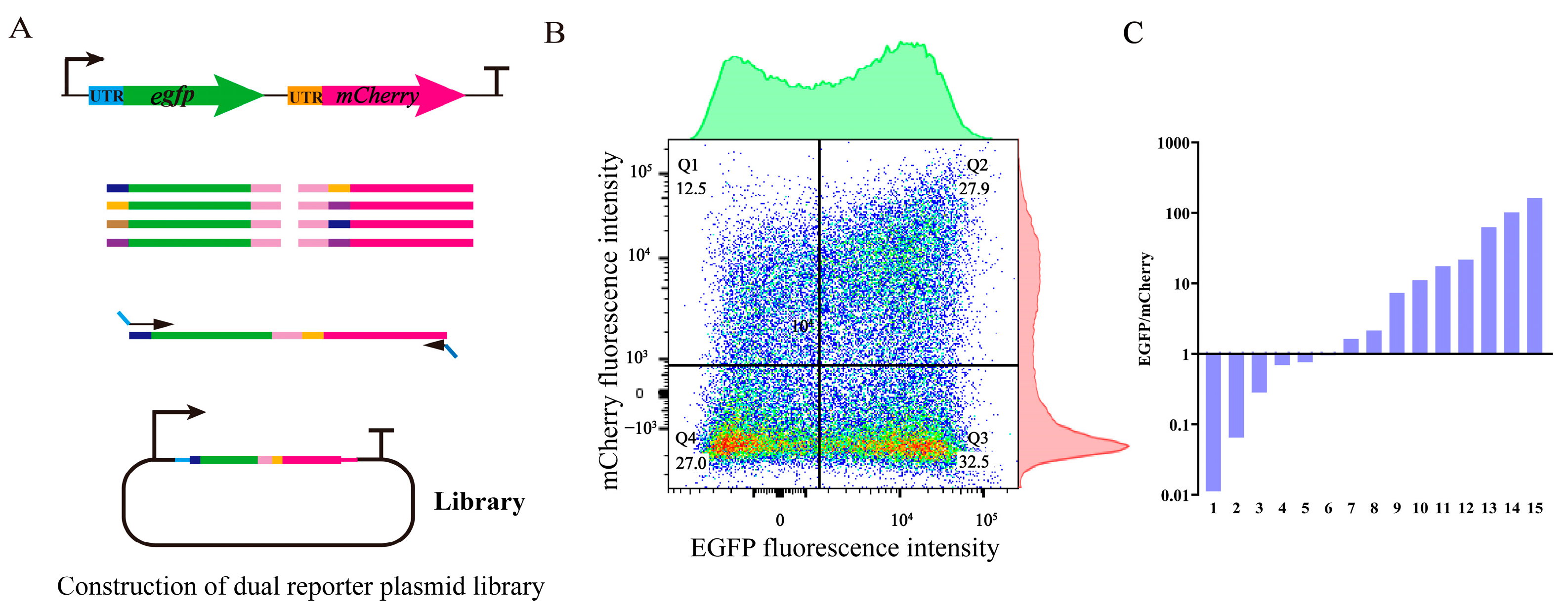 Biology 13 00277 g005