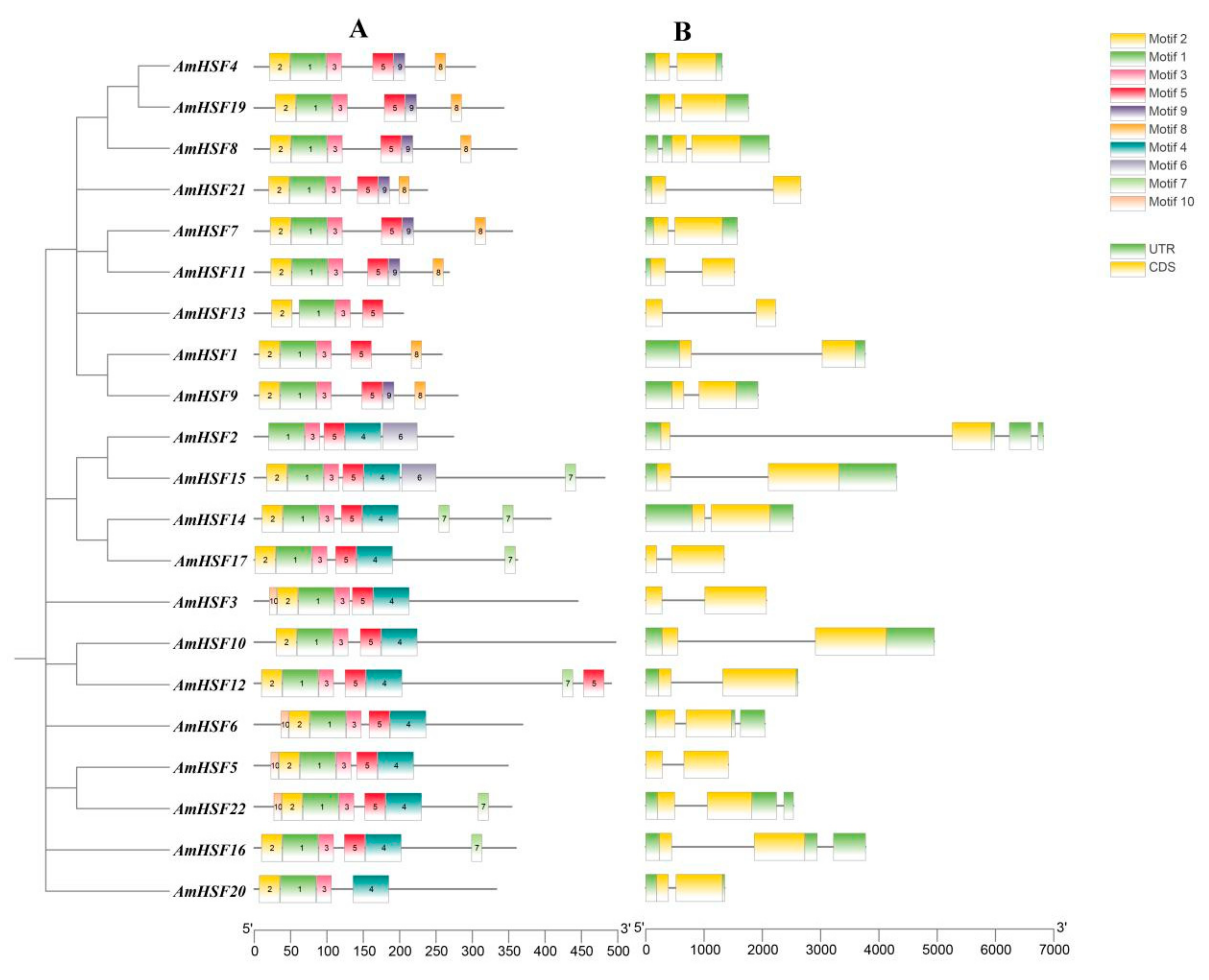 Biology 13 00280 g003