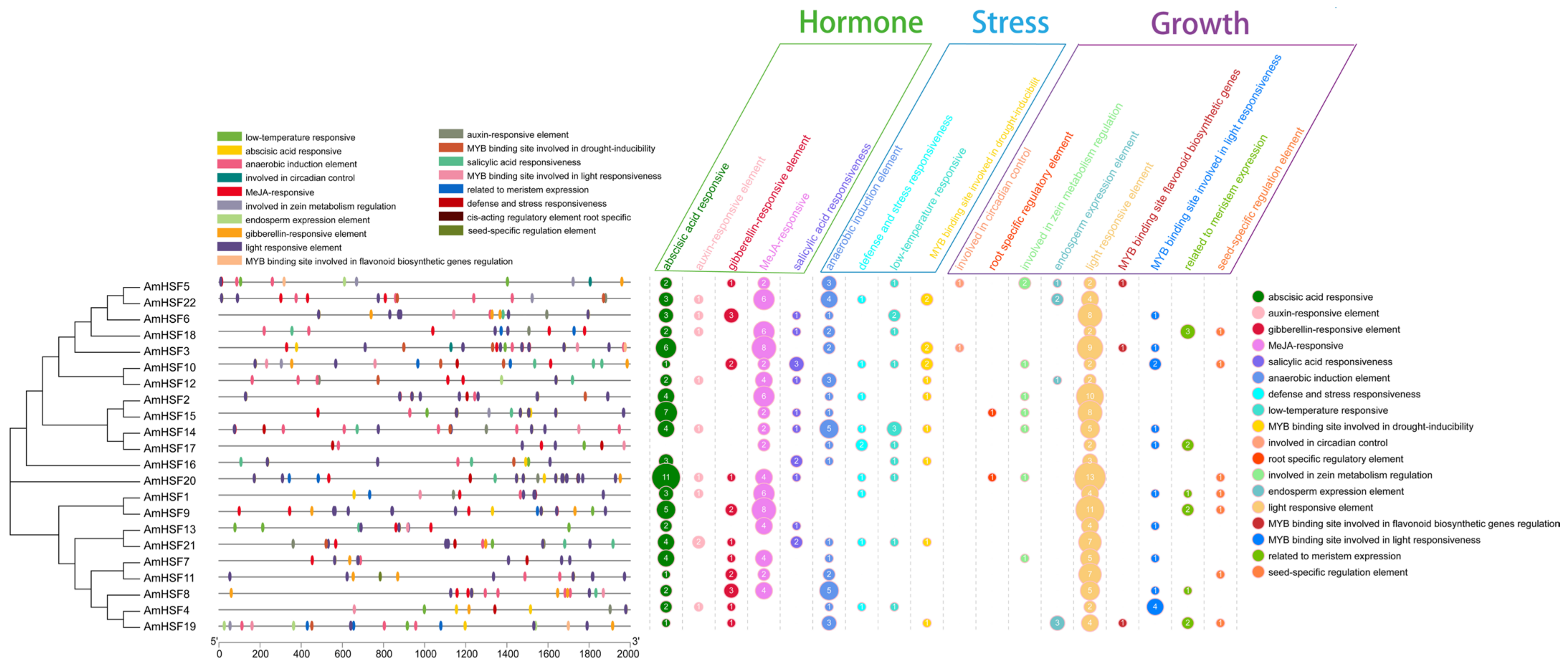 Biology 13 00280 g005