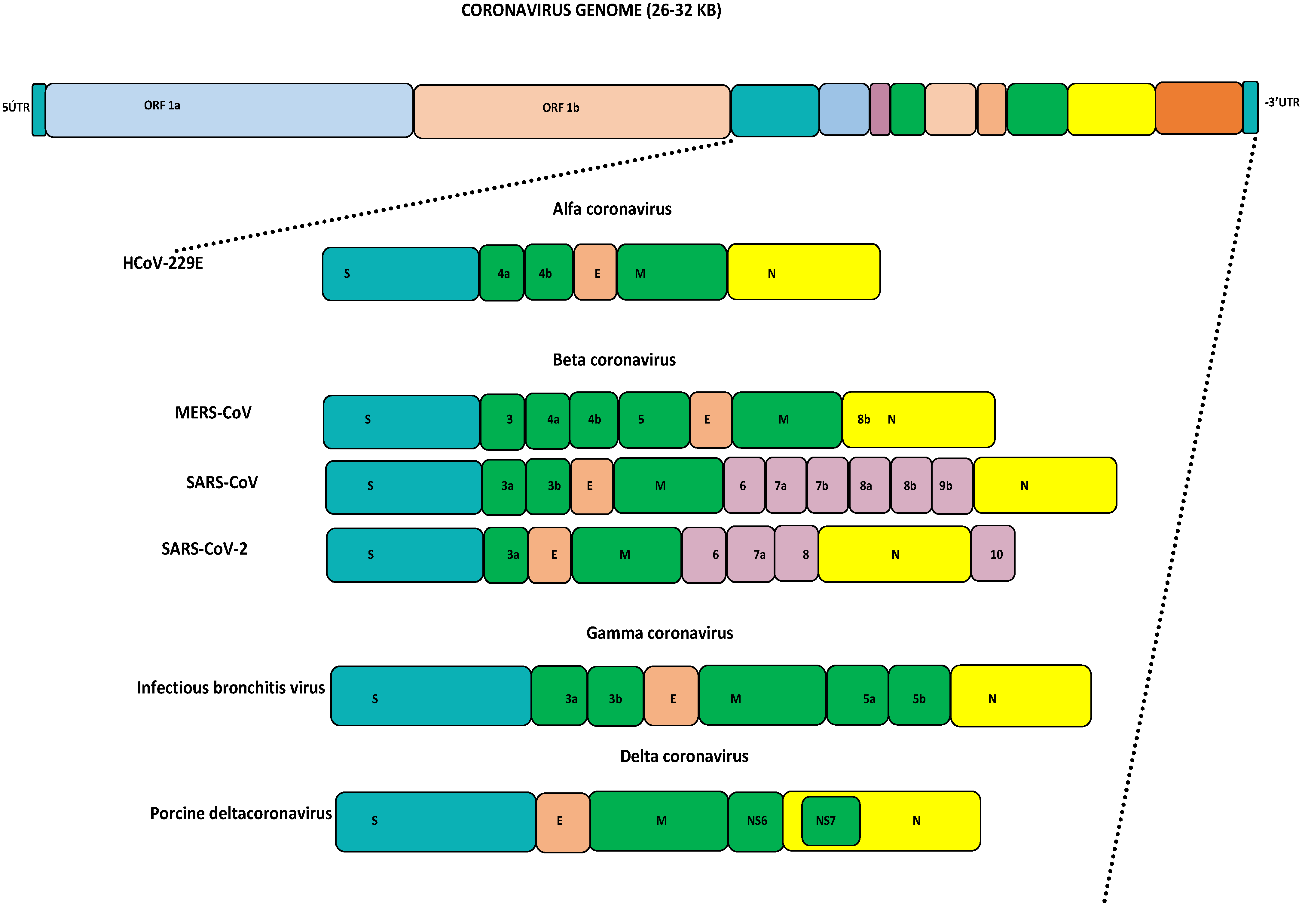 Biology 13 00282 g001
