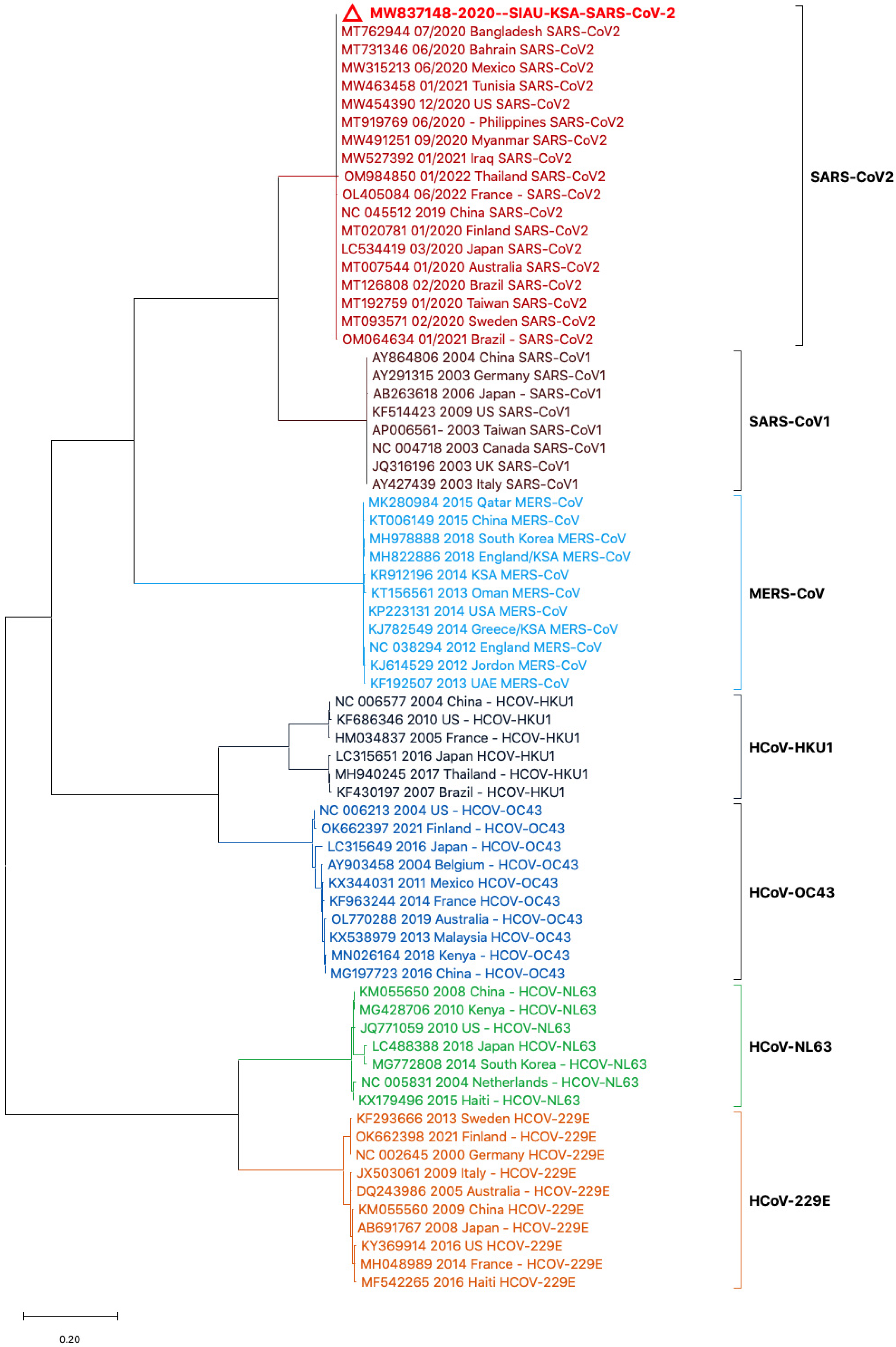 Biology 13 00282 g002