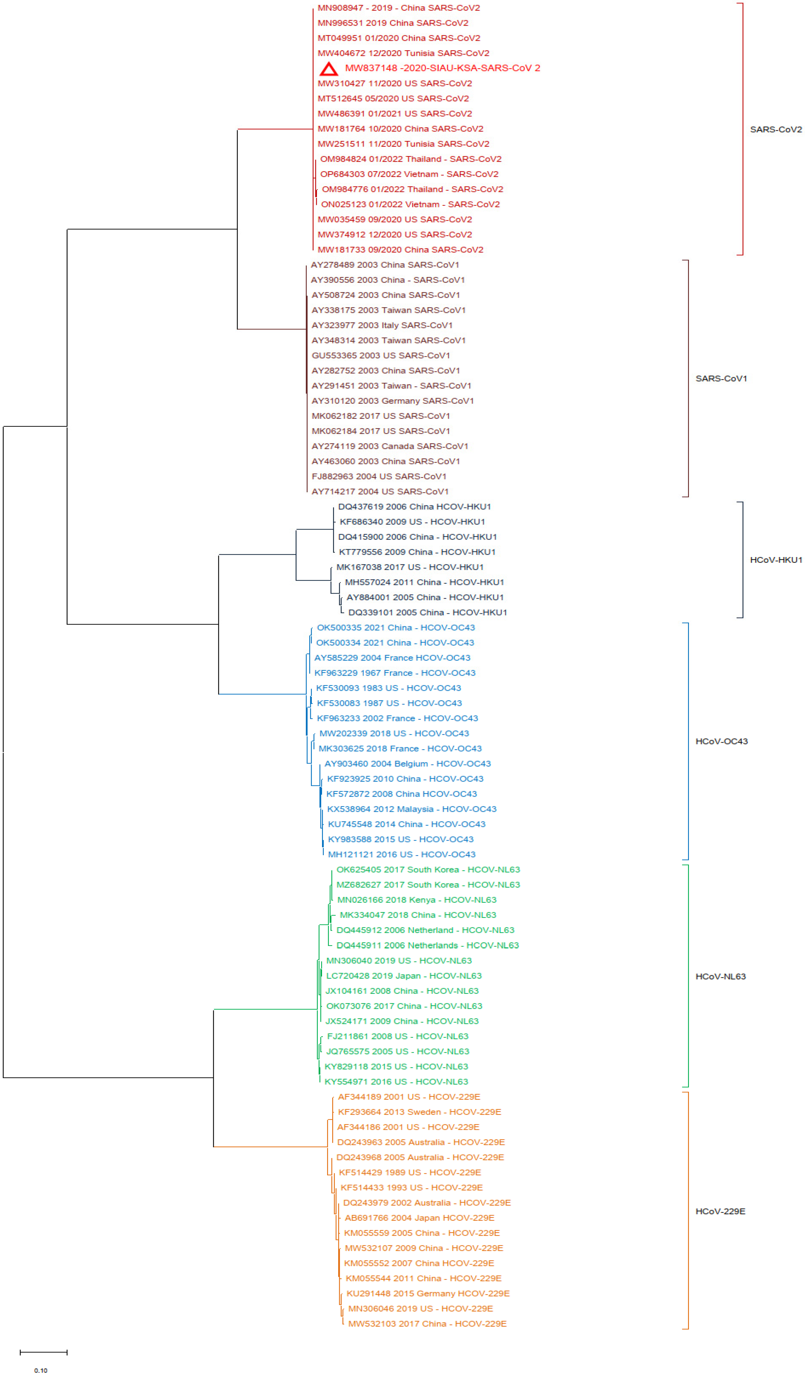 Biology 13 00282 g004