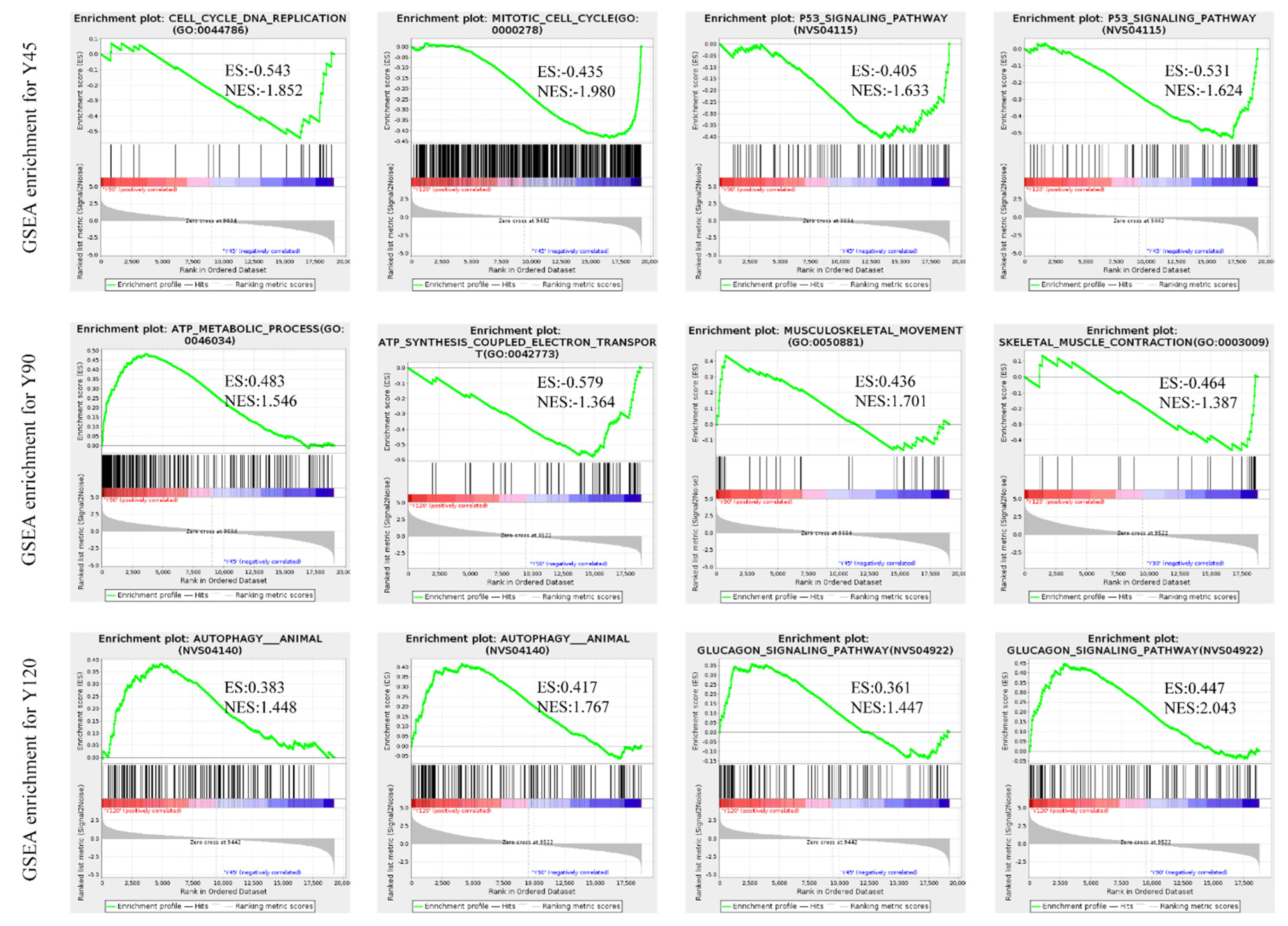 Biology 13 00283 g005