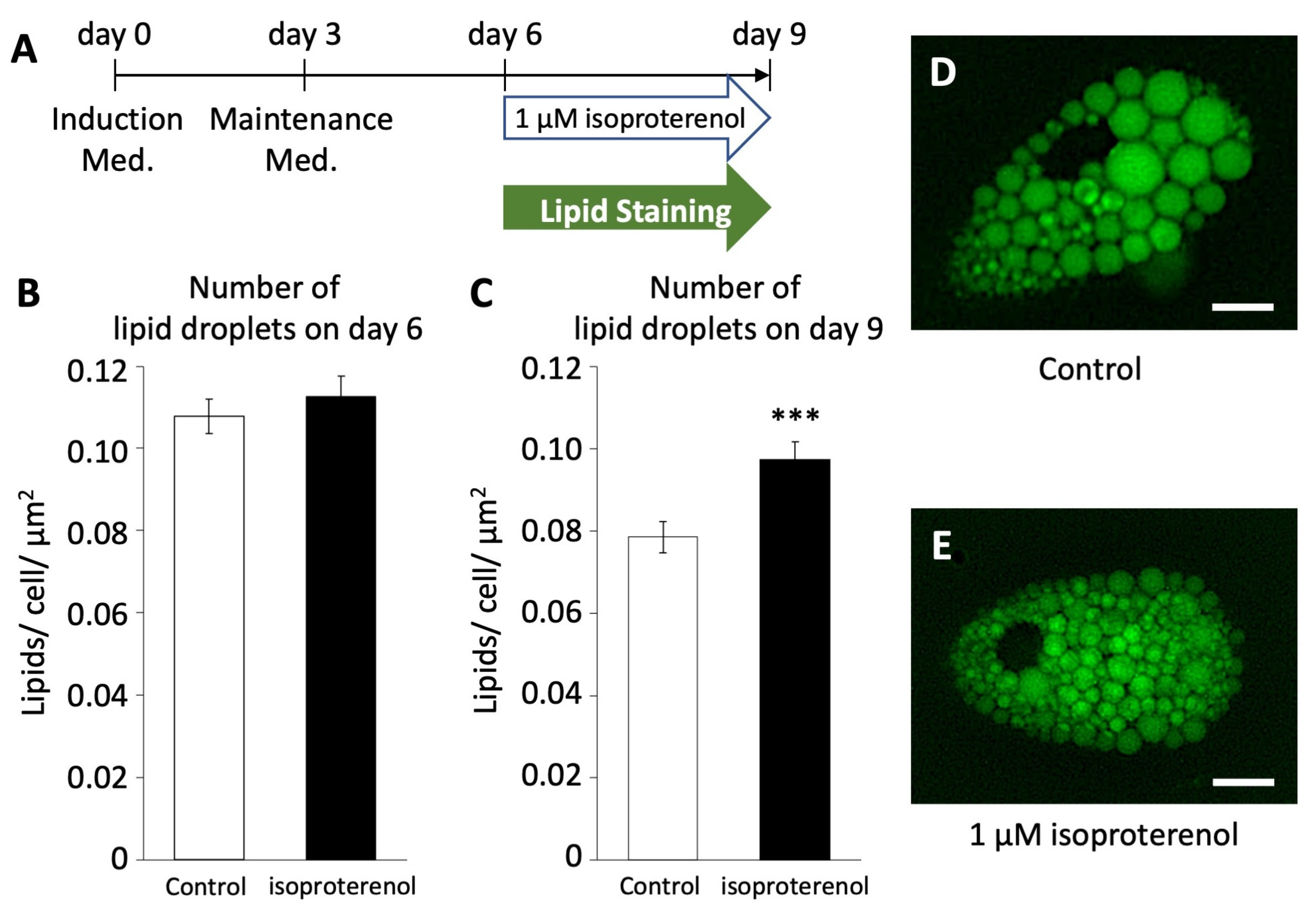 Biology 13 00284 g004