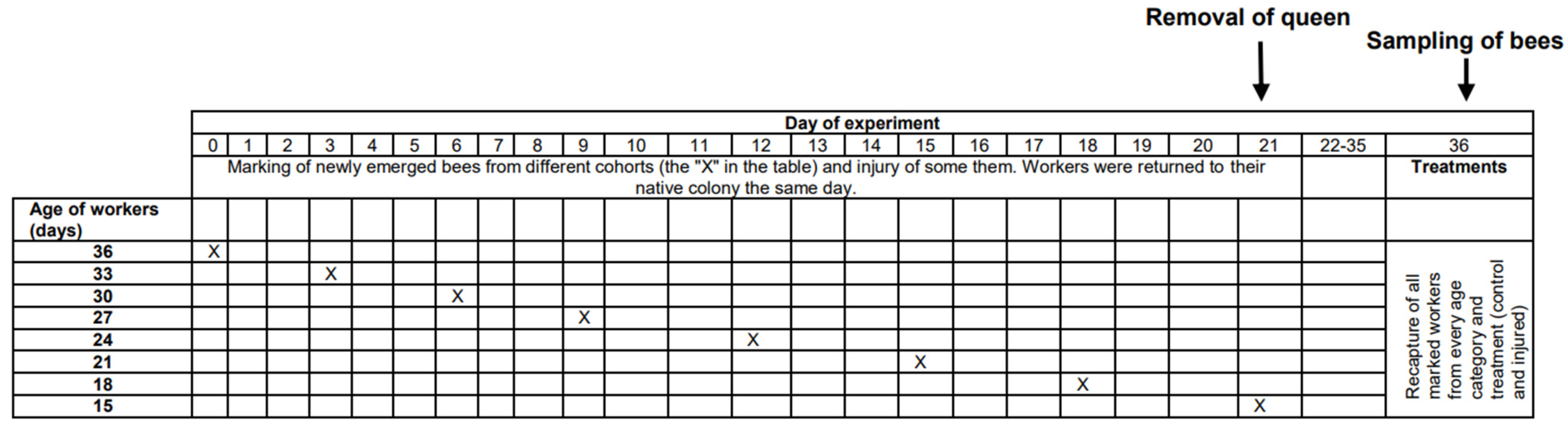 Biology 13 00287 g001