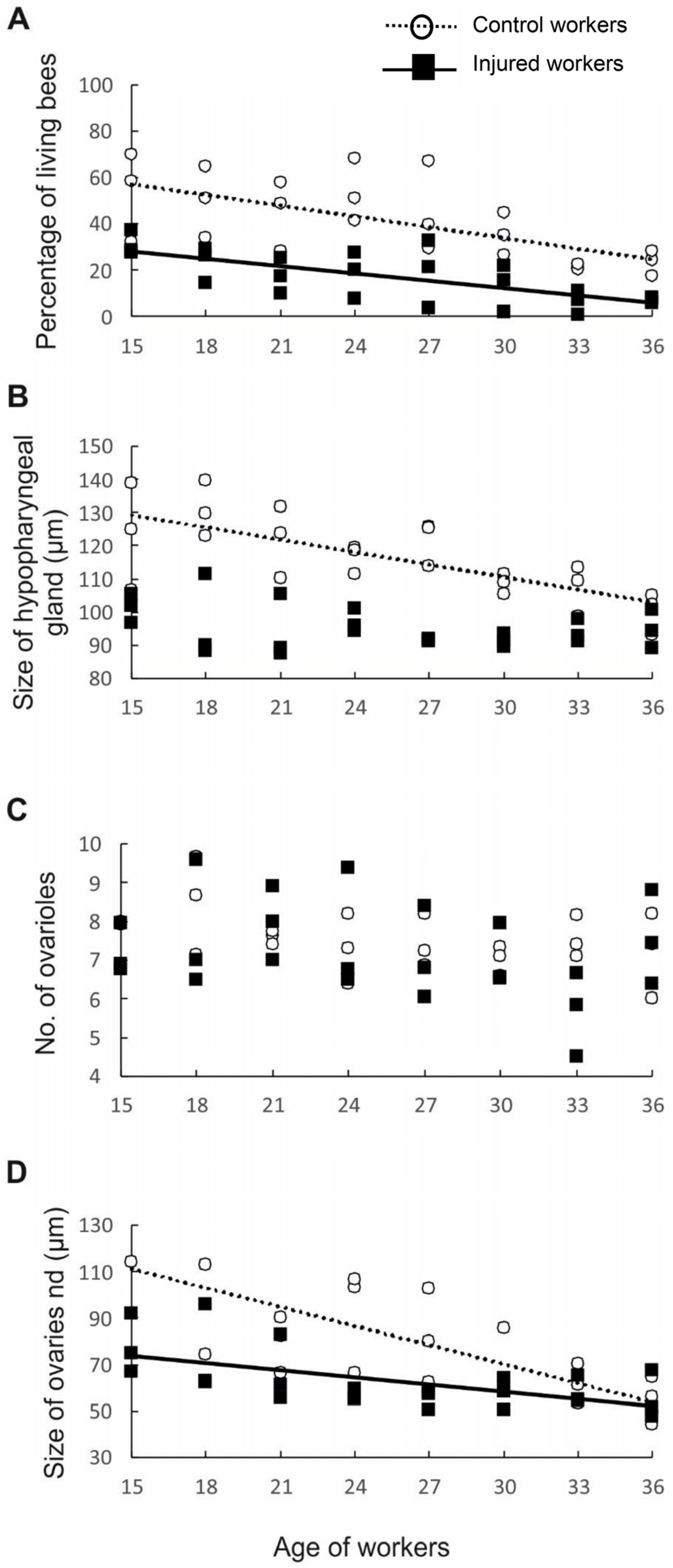 Biology 13 00287 g003