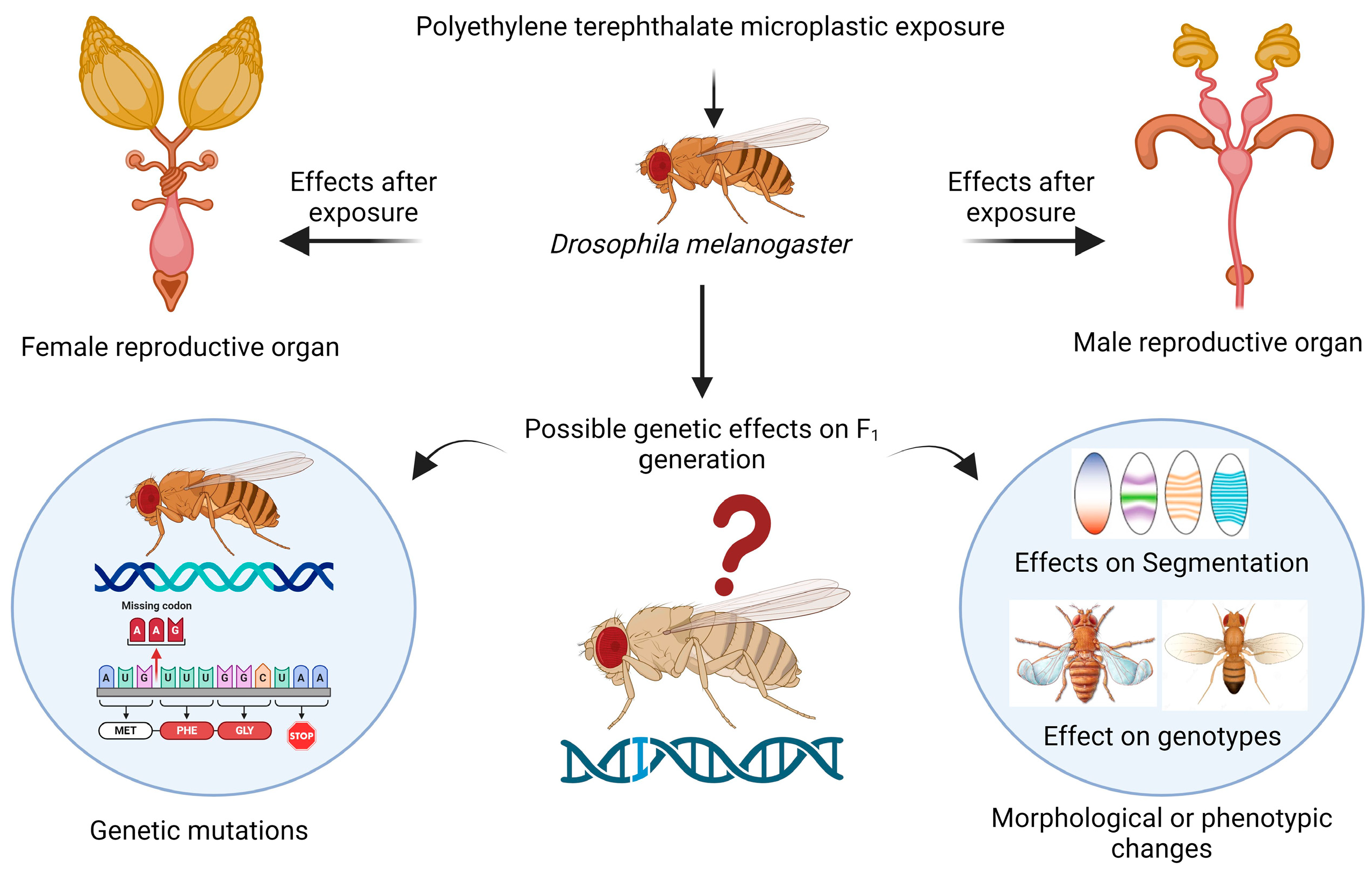 Biology 13 00293 g007