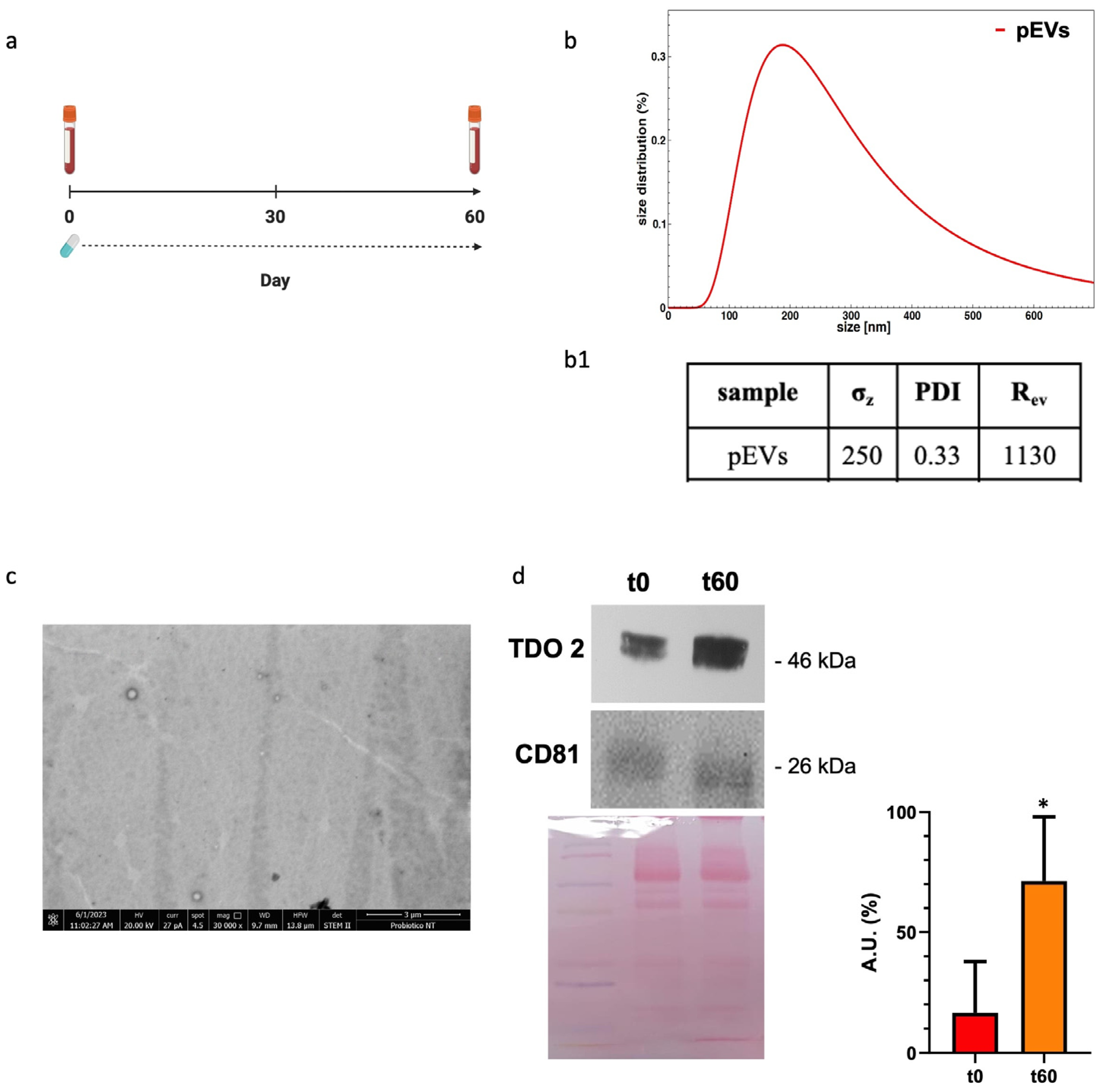 Biology 13 00296 g001
