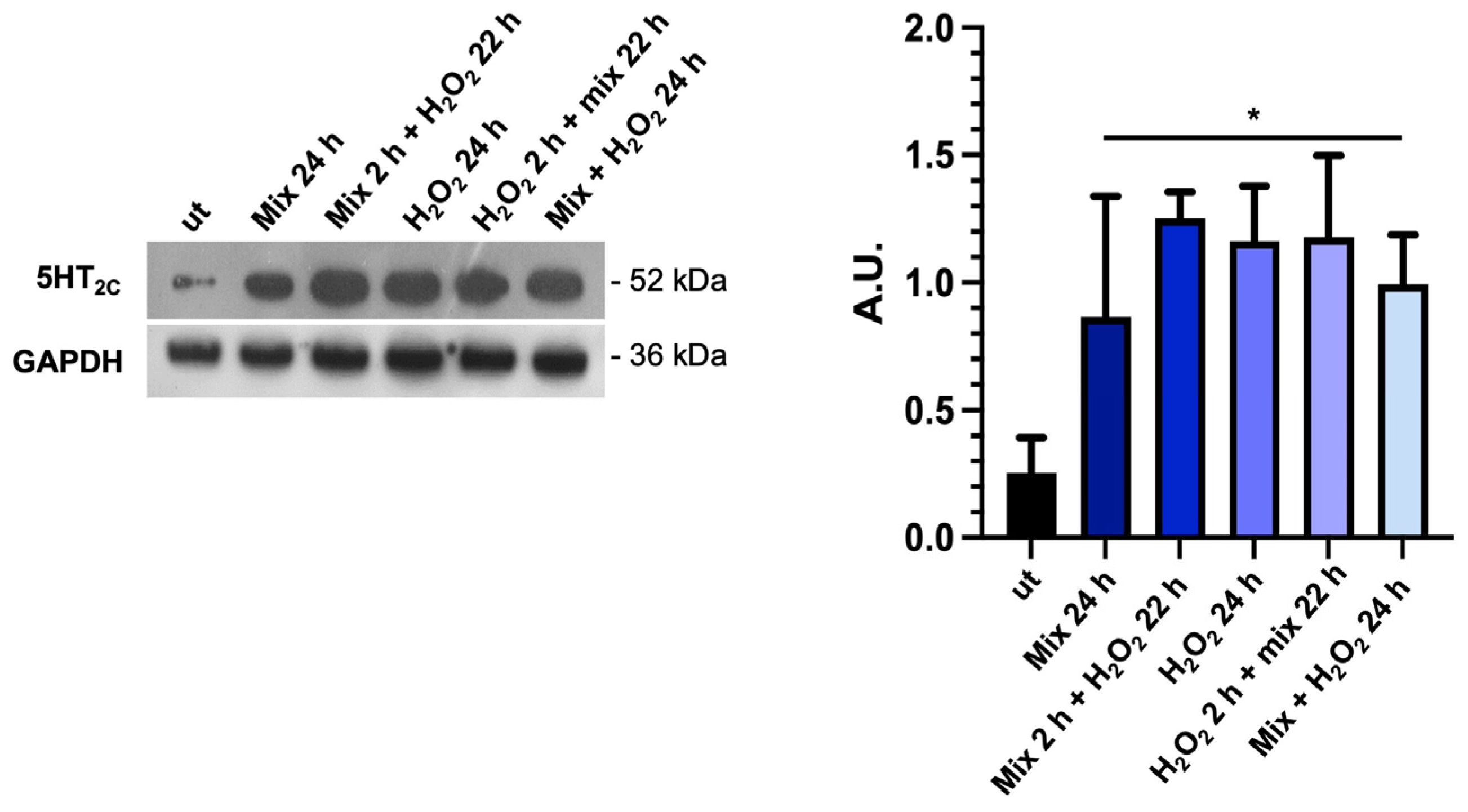 Biology 13 00296 g005