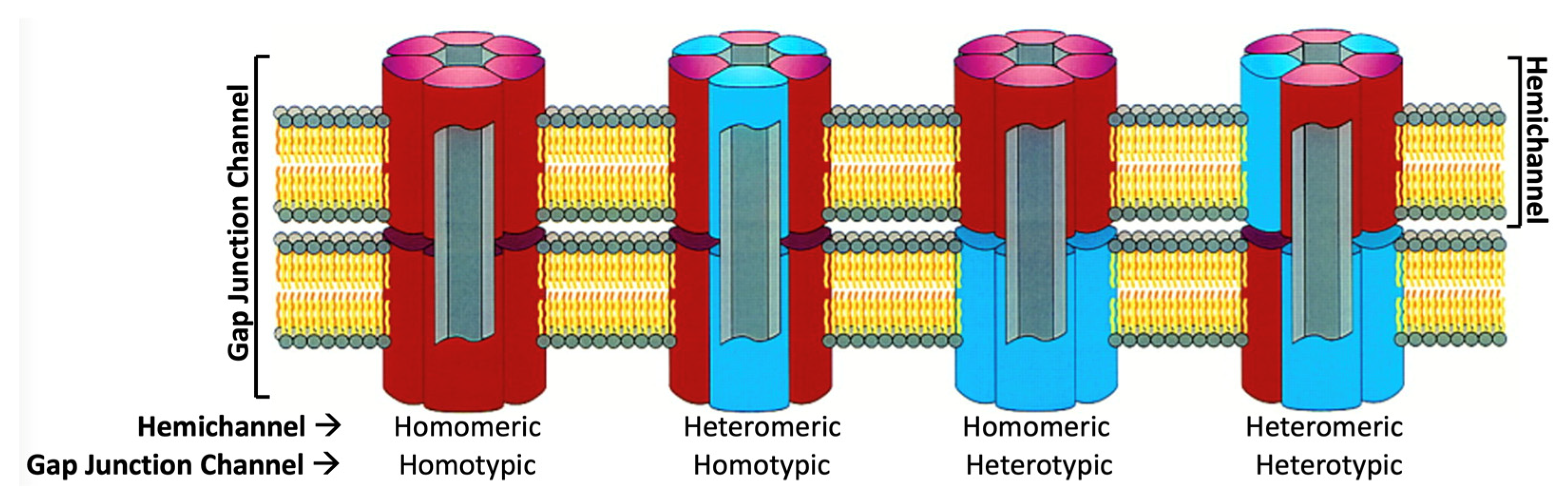 Biology 13 00298 g002
