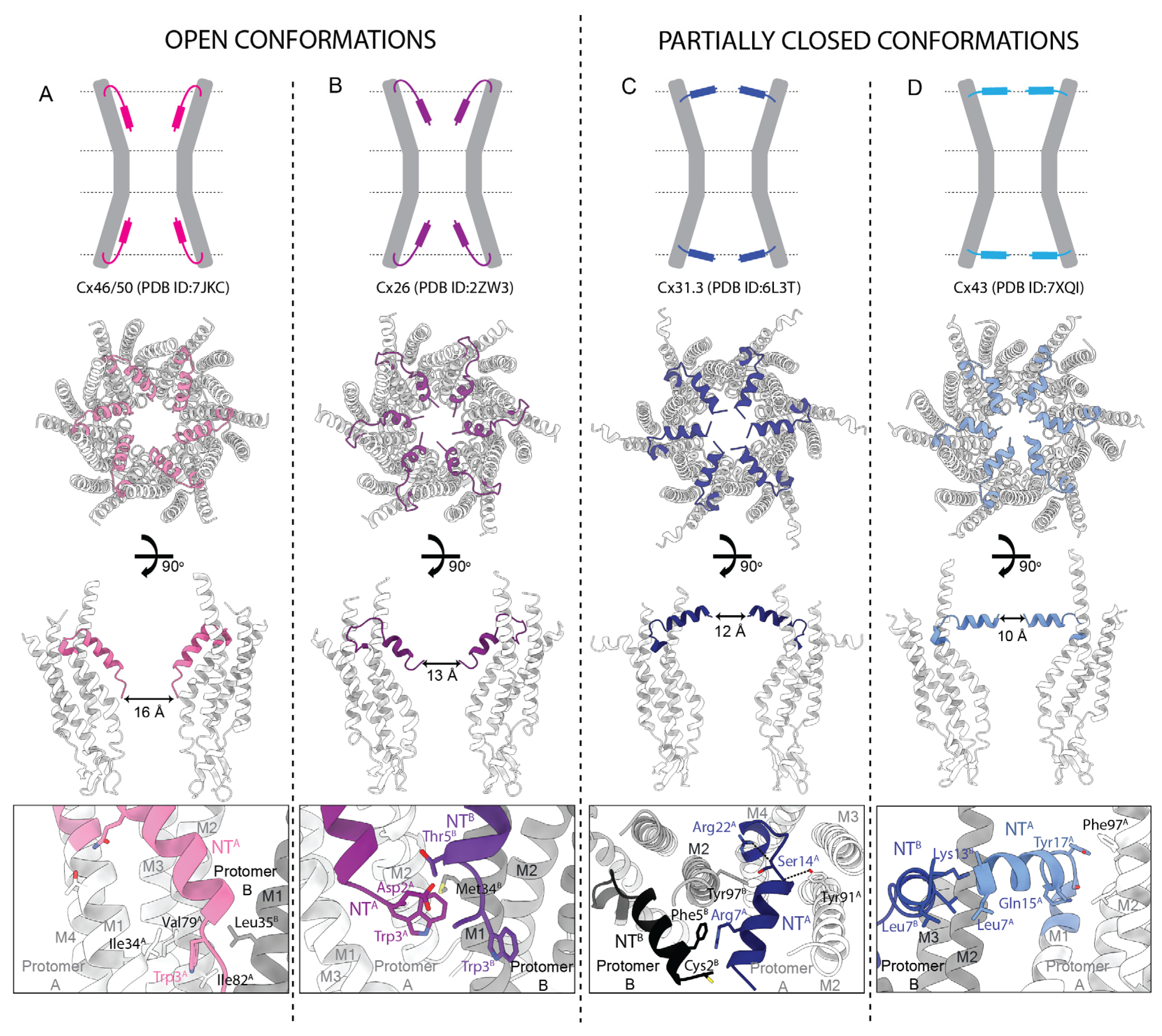 Biology 13 00298 g007