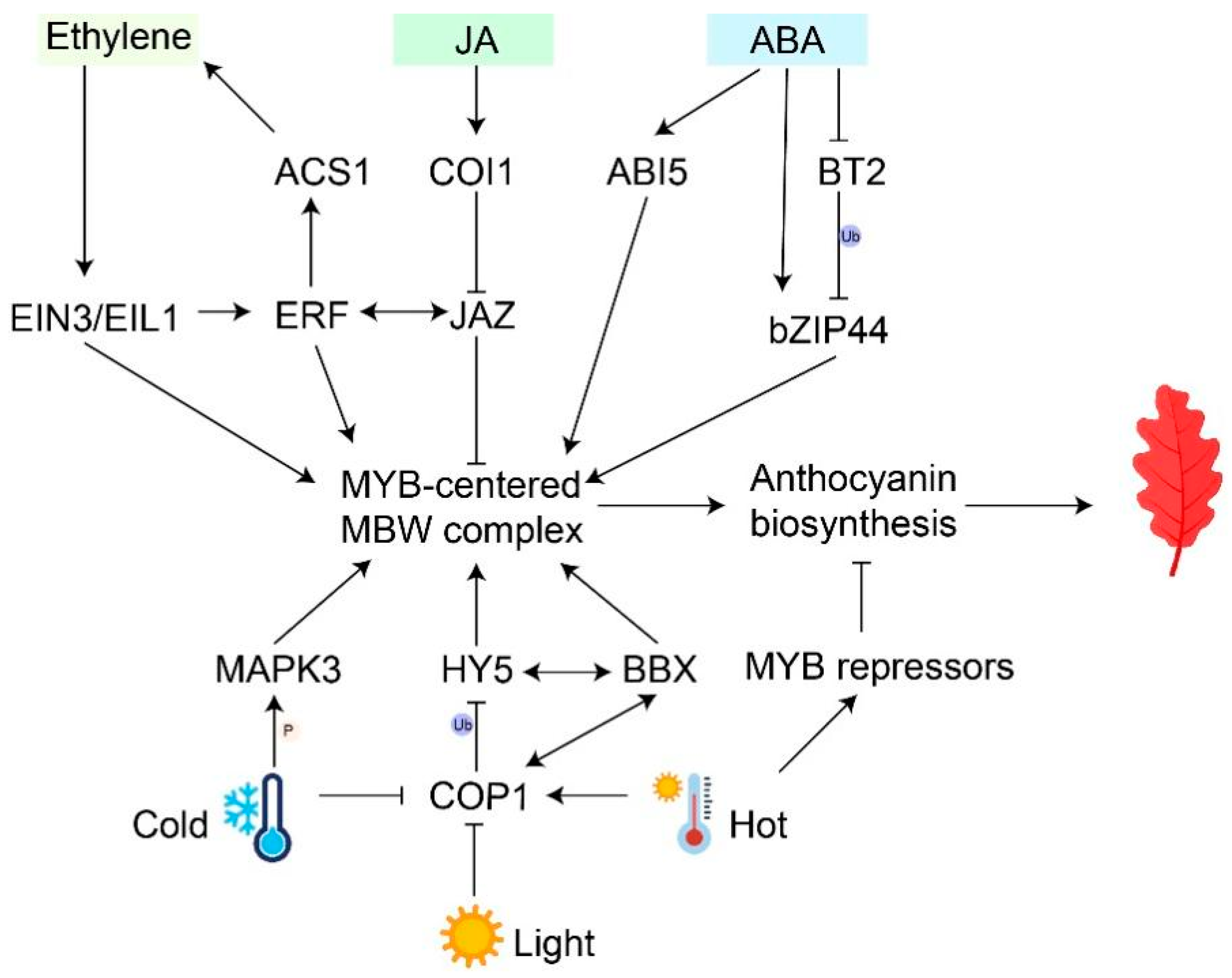 Biology 13 00329 g002