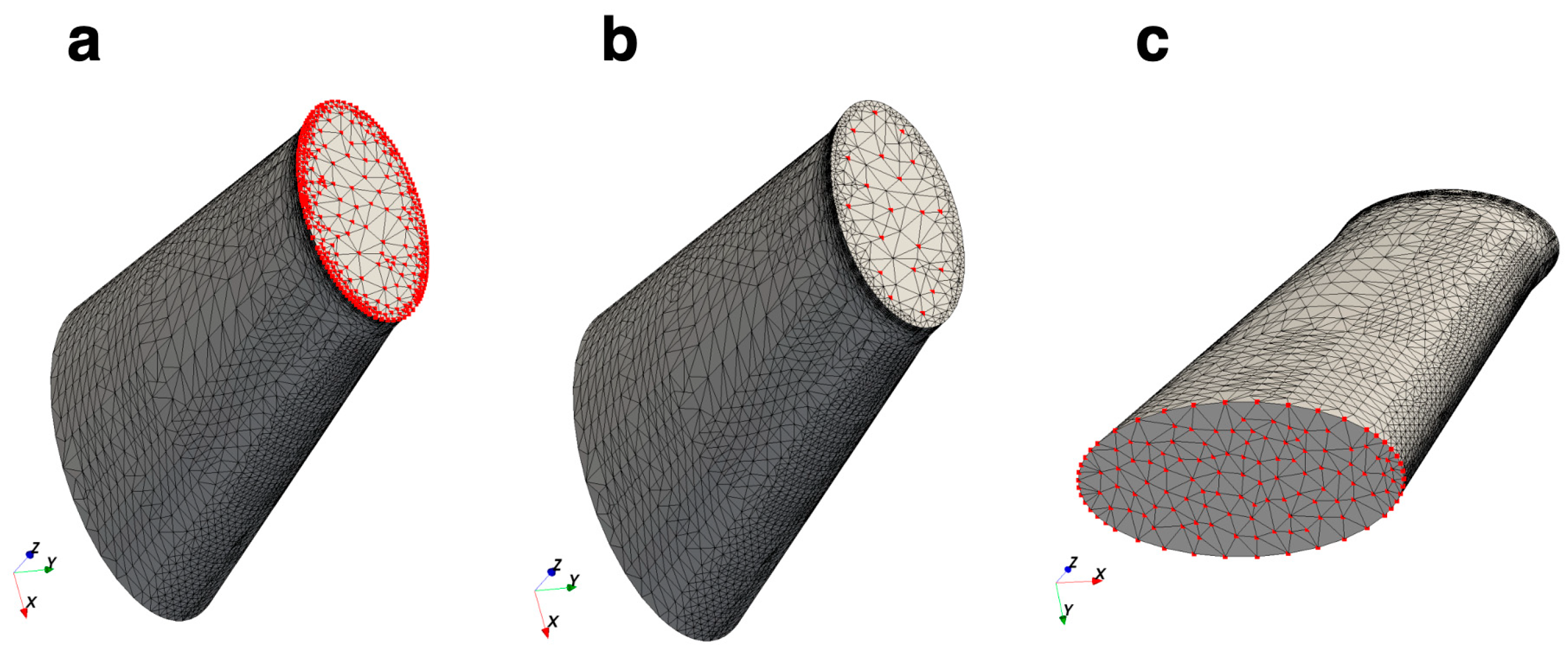 Biomechanics 03 00047 g003 Biomechanics 03 00047 g003