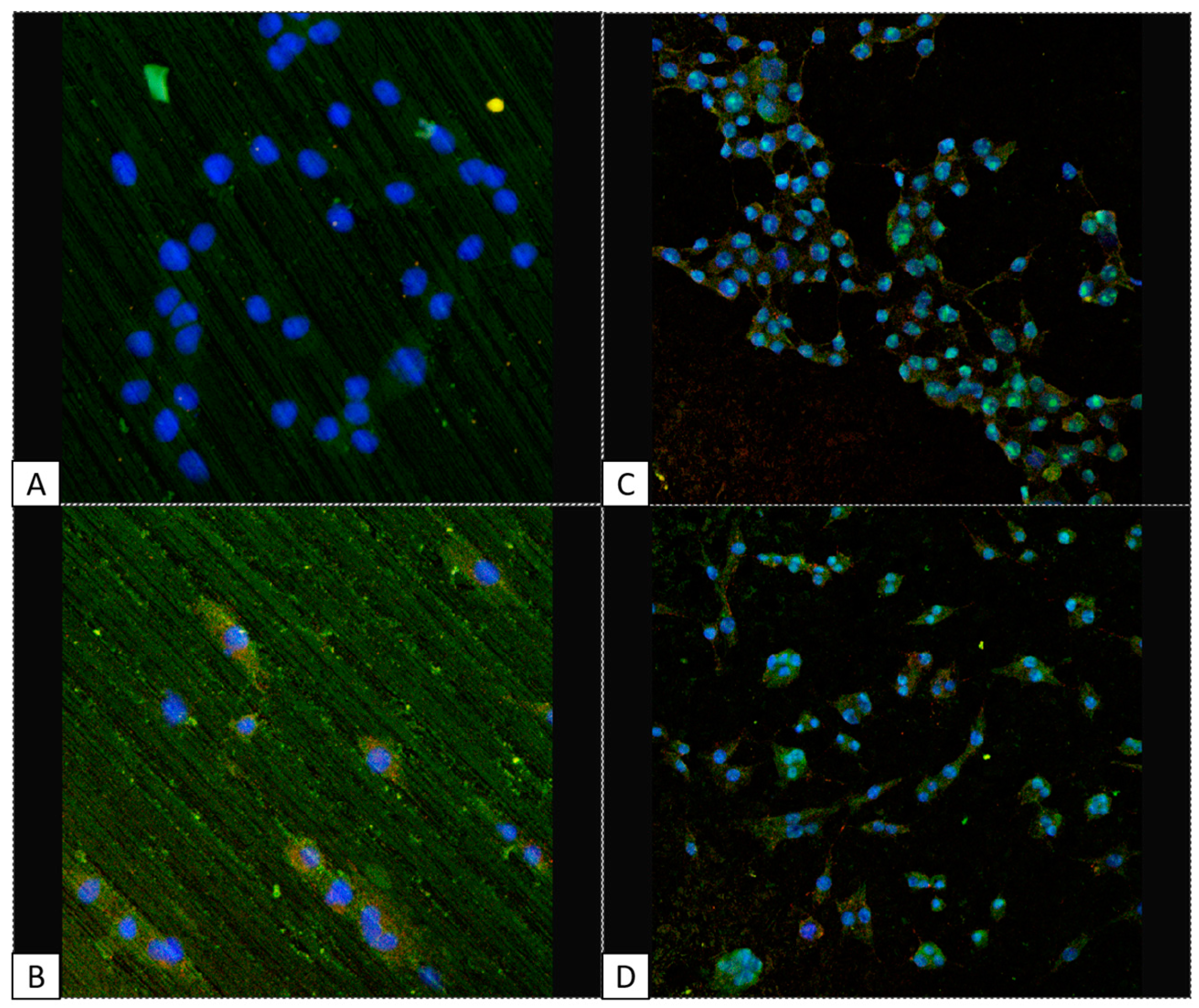 Biomedicines 05 00032 g002