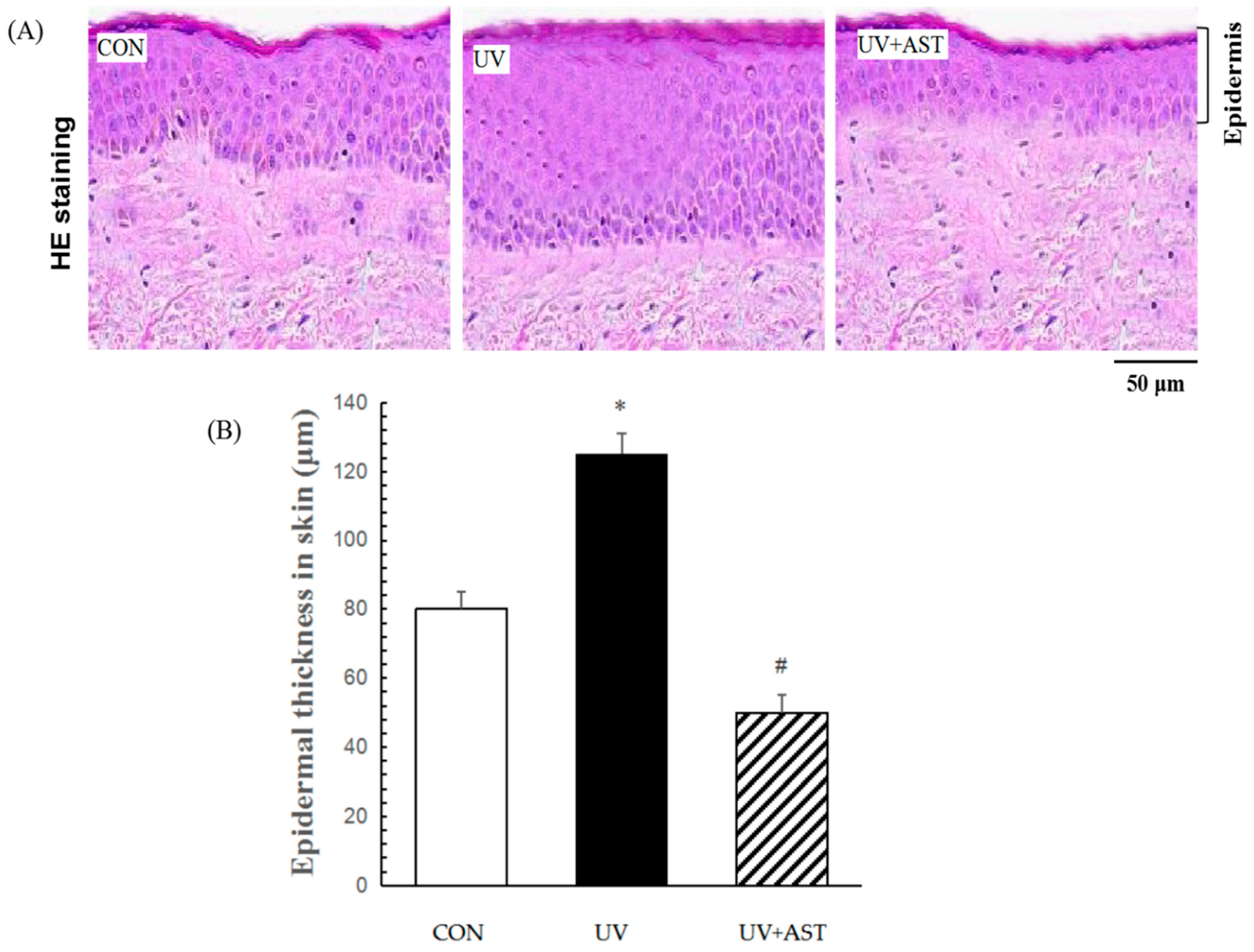 Biomedicines 08 00018 g002 Biomedicines 08 00018 g002