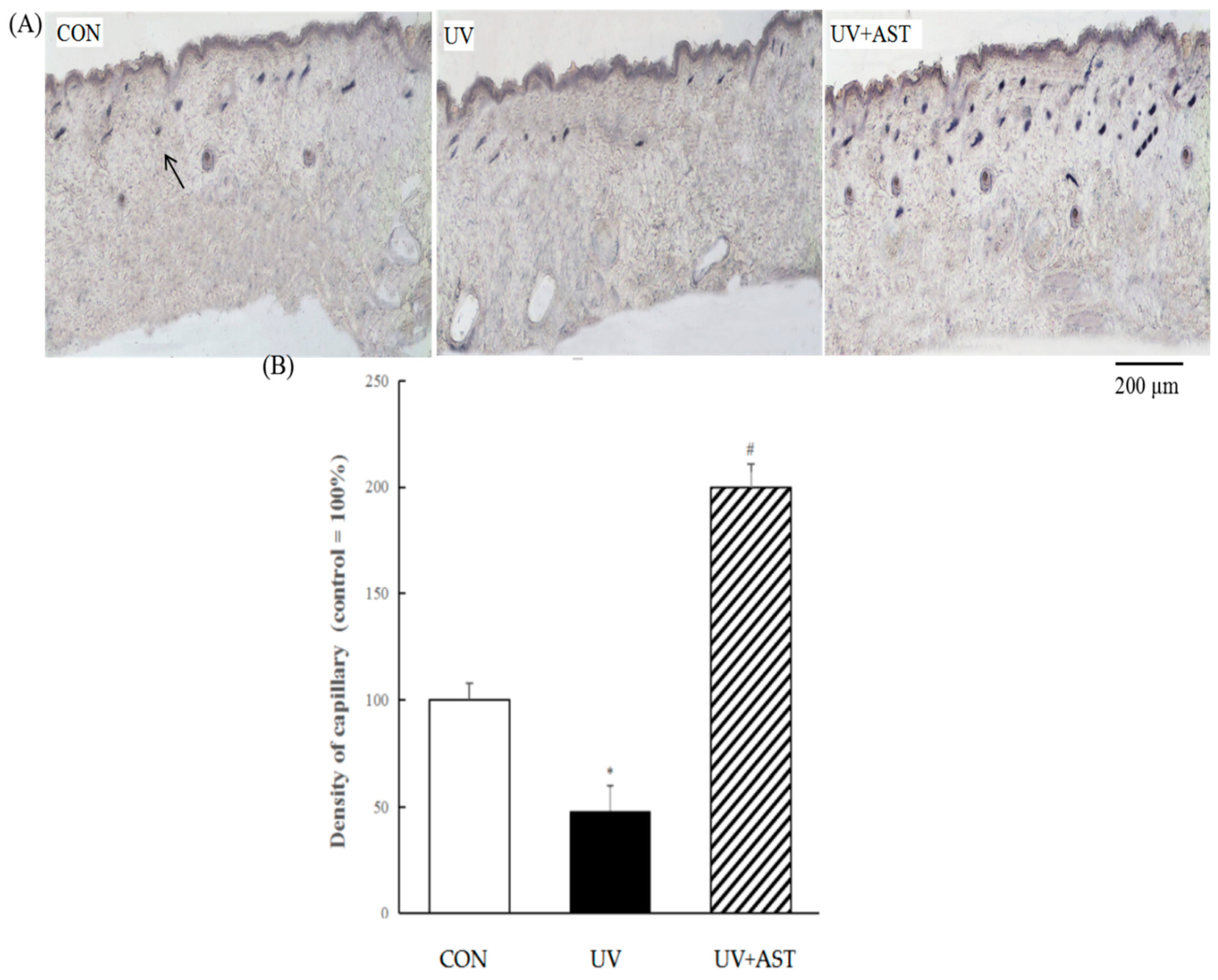 Biomedicines 08 00018 g004 Biomedicines 08 00018 g004