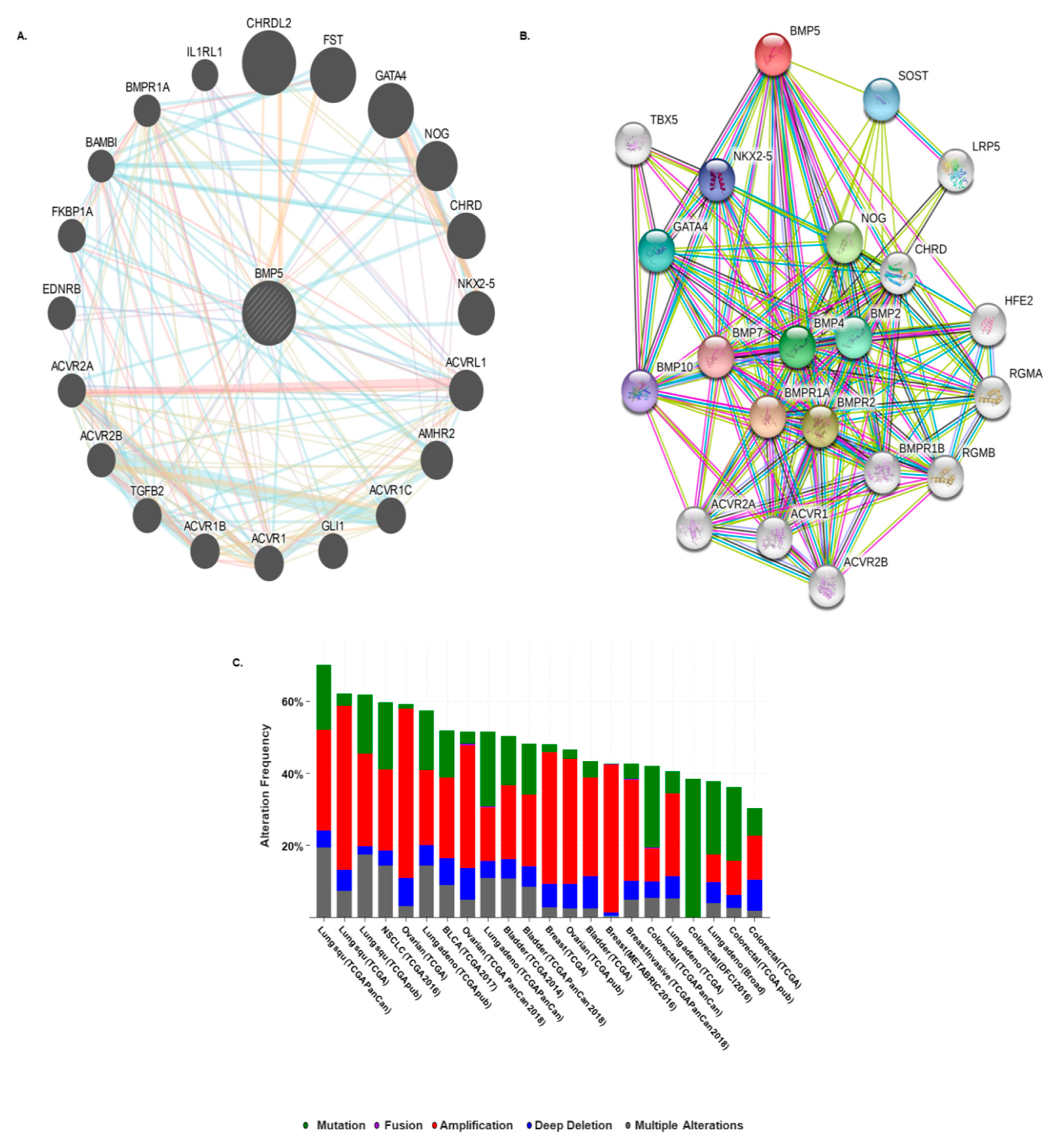 Biomedicines 08 00019 g006